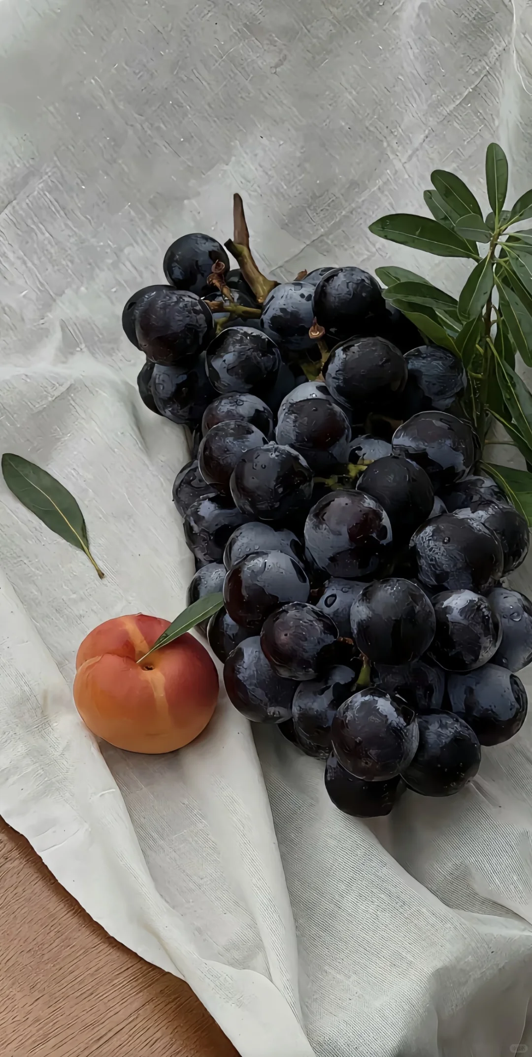 ins风高清治愈系壁纸、治愈系高清手机壁纸