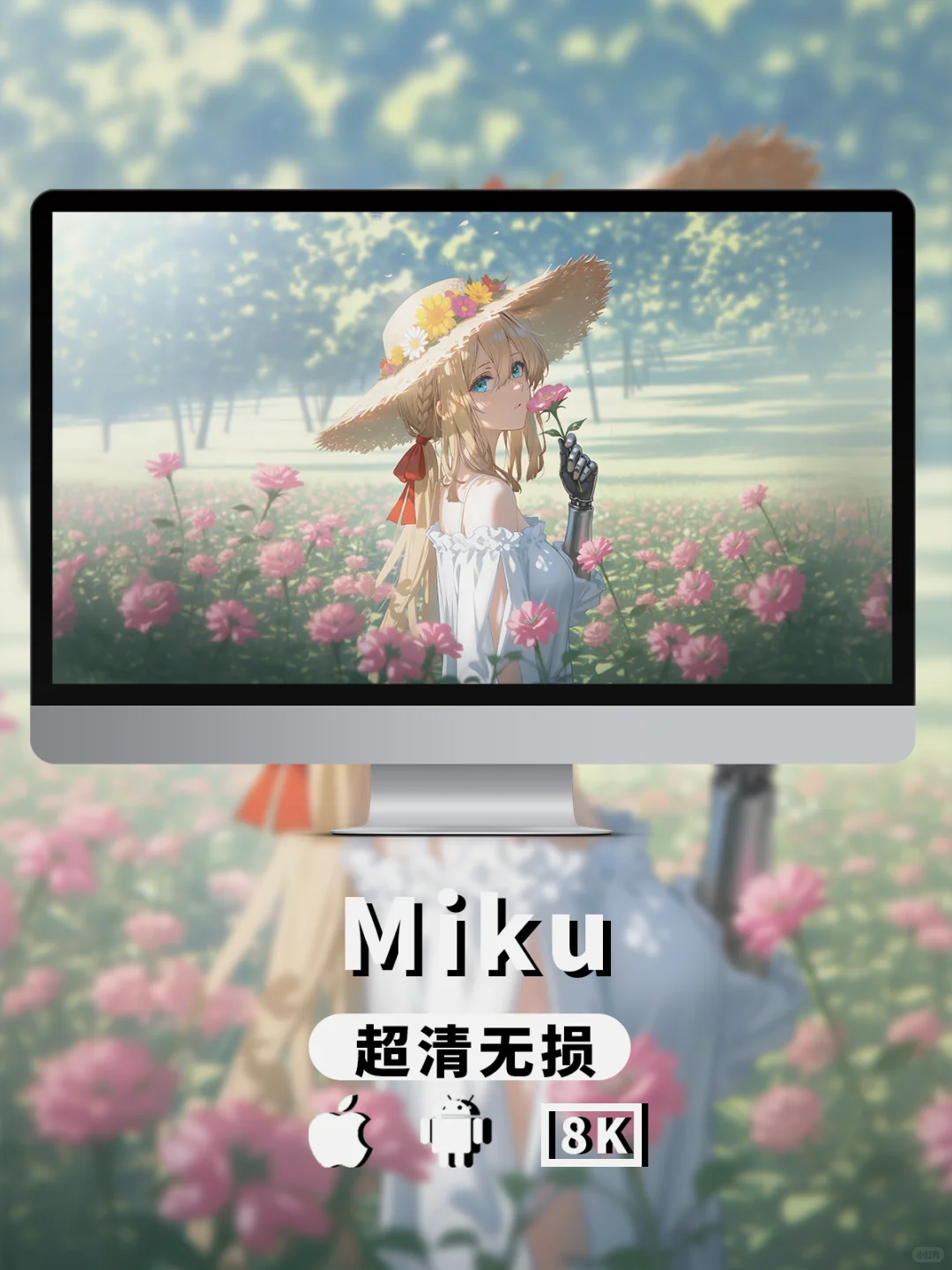 壁纸｜薇尔莉特丨紫罗兰永恒花园~