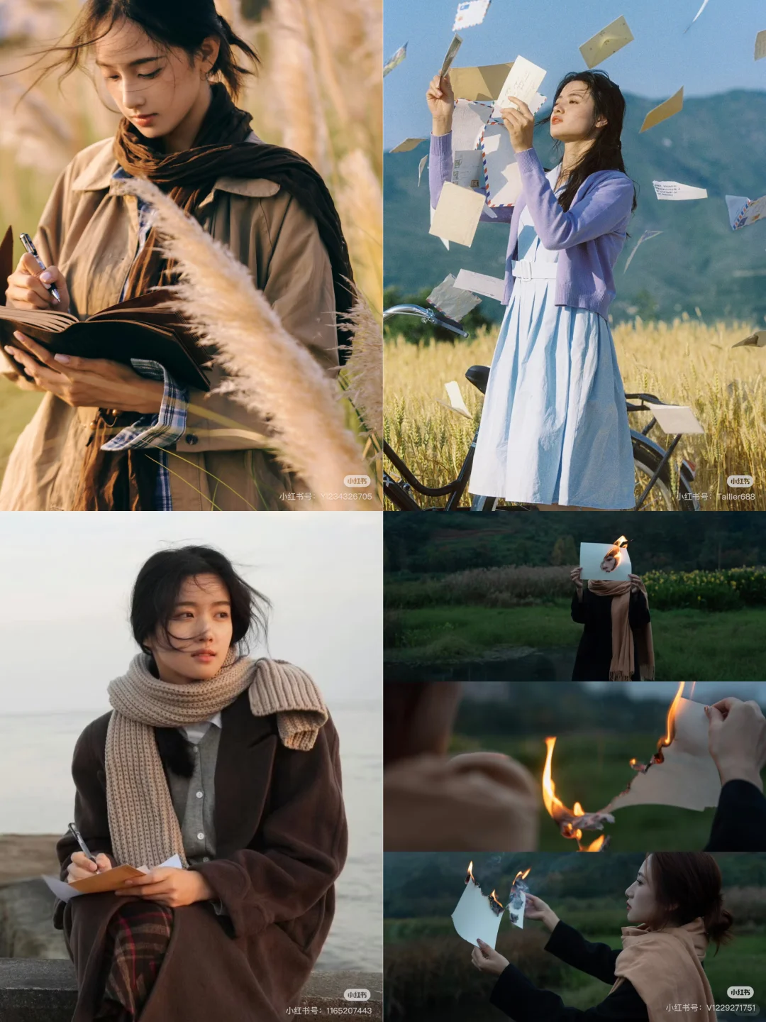 成都明天求拍芦苇的模特！！！！