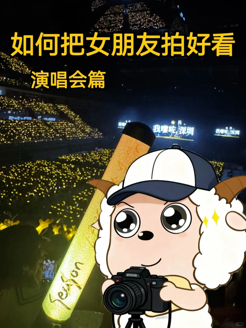 如何把女朋友拍好看|演唱会篇