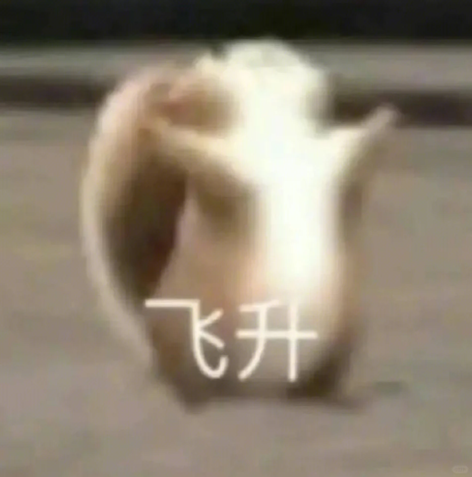 这条裙子也太好看了吧！