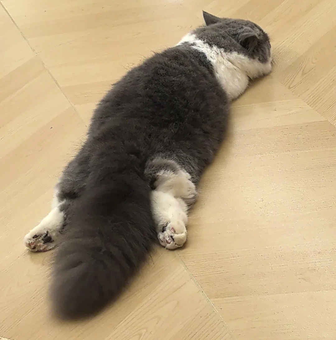 有澄海女搭子一起运动吗