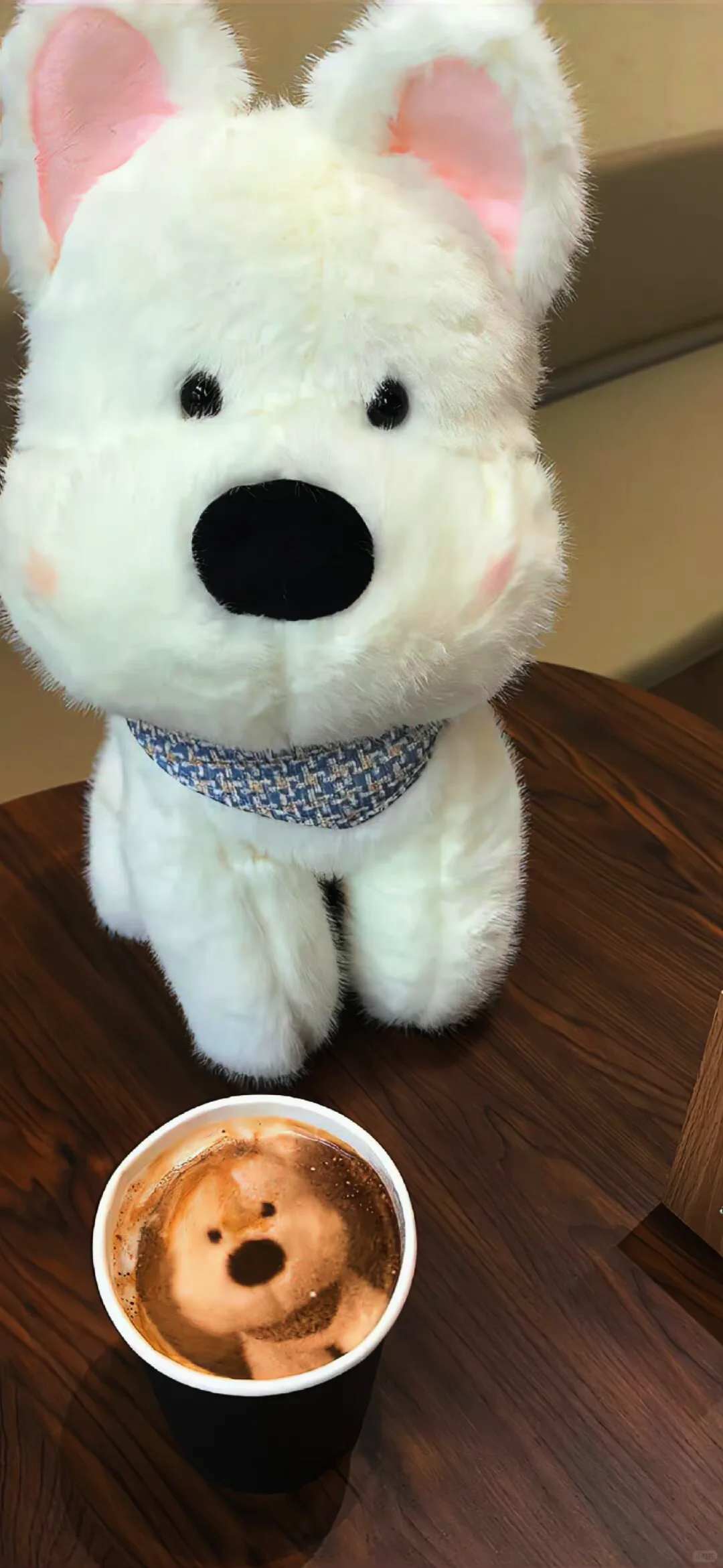 ins风高清壁纸ʕु•̫͡•ʔु ✧