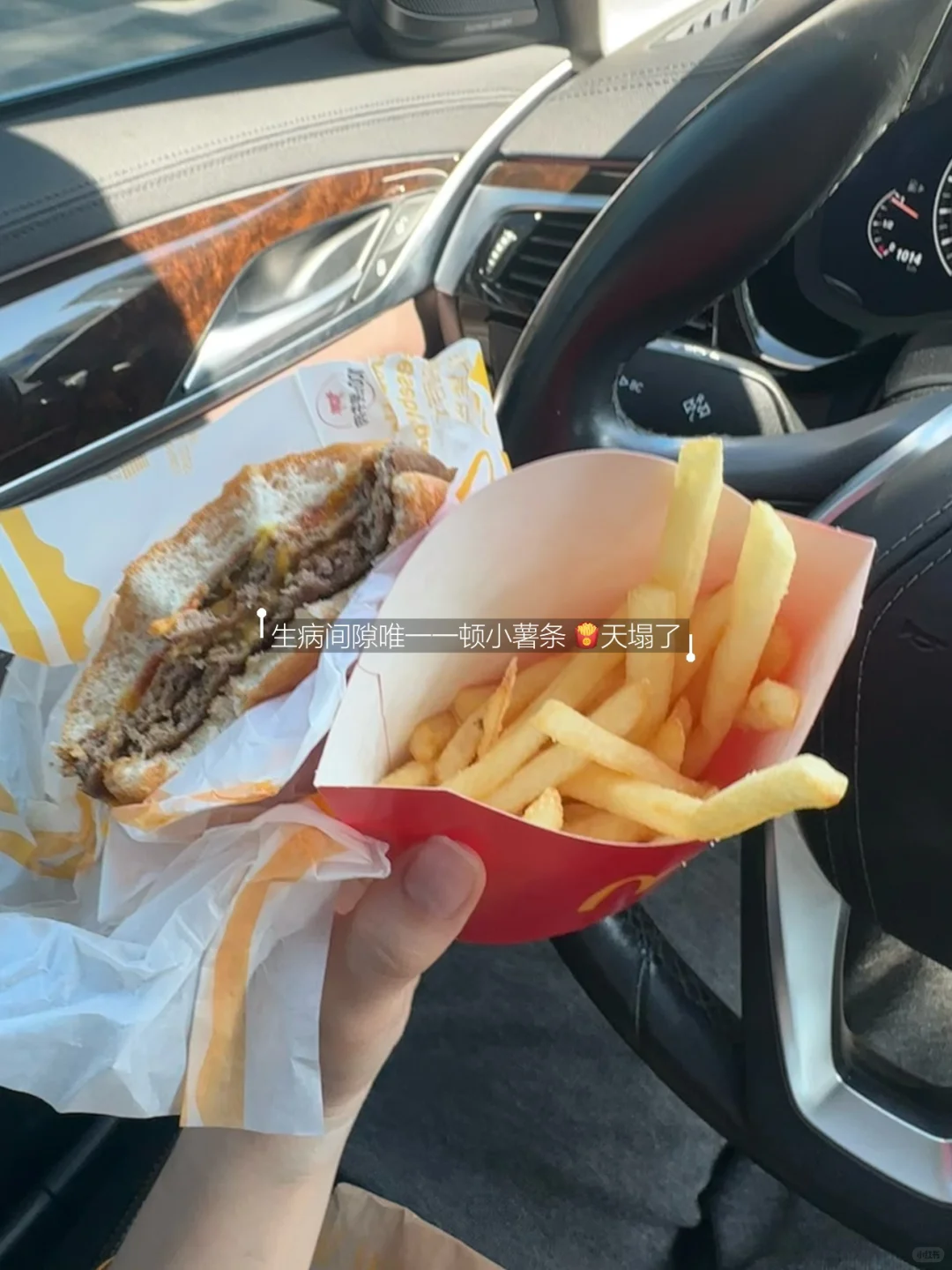 11.5 游了/ 🐬奥体的水真的好清💦