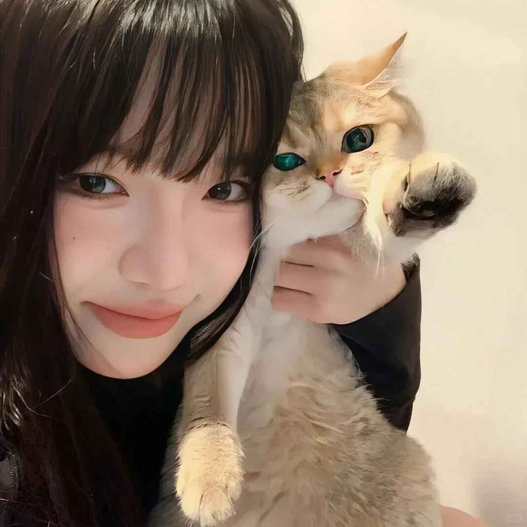 你会心动的𝑾𝒆𝑪𝒉𝒂𝒕头像