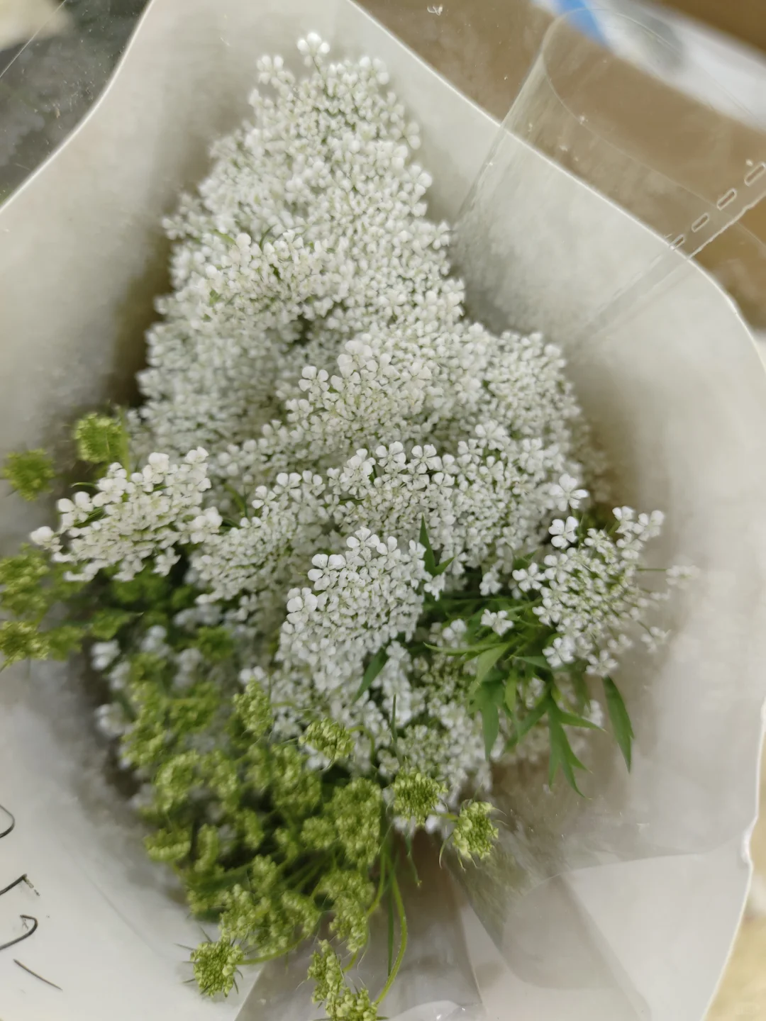 花店上班Day54.争取每天发一种花