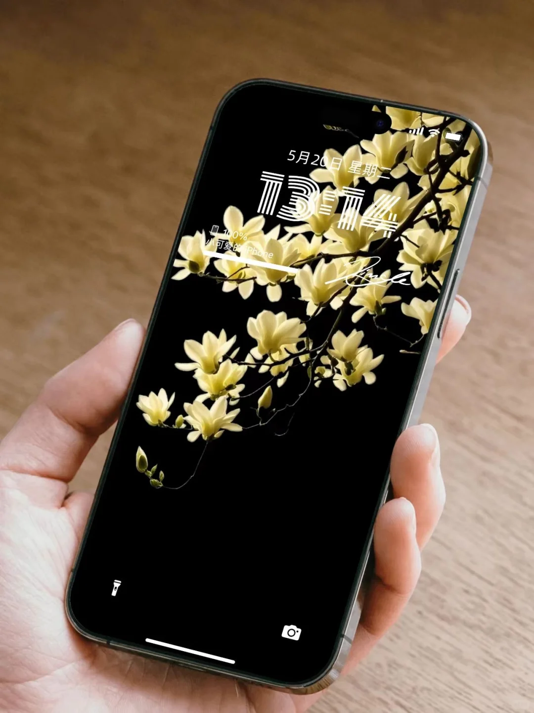 简约高级感｜玉兰花壁纸、氛围感壁纸