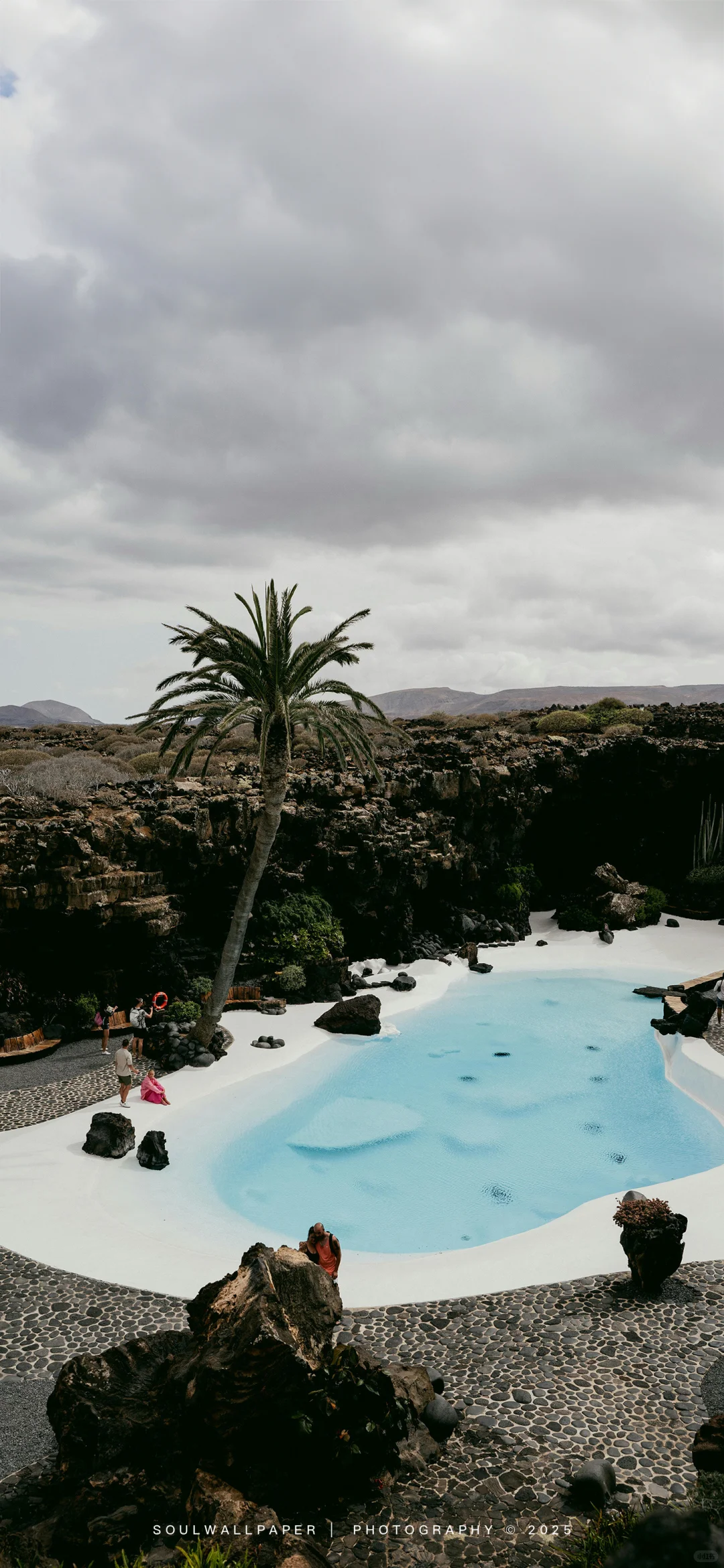 𝓒𝓸𝓬𝓸𝓷𝓾𝓽丨壁纸赏鉴2501022