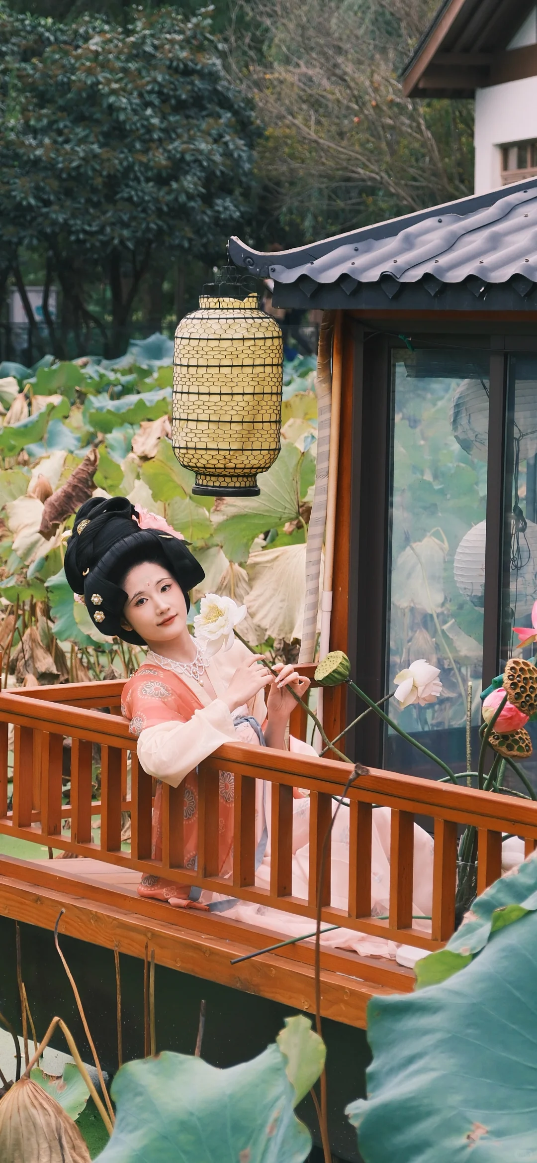 “荷叶罗裙一色裁，芙蓉向脸两边开”