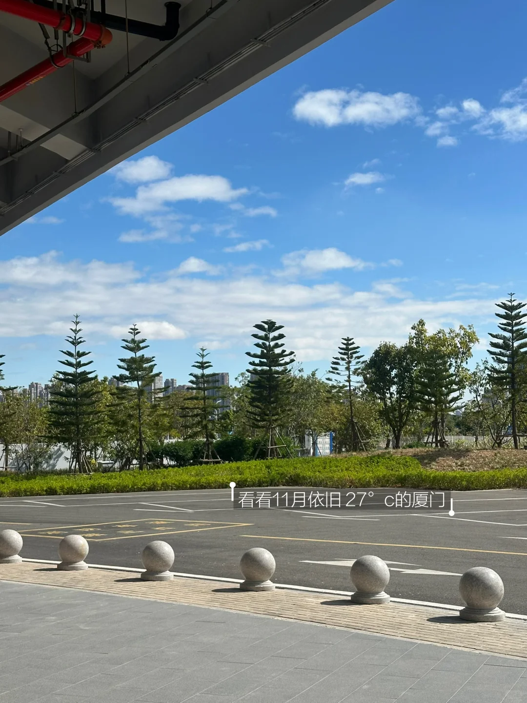 11.5 游了/ 🐬奥体的水真的好清💦