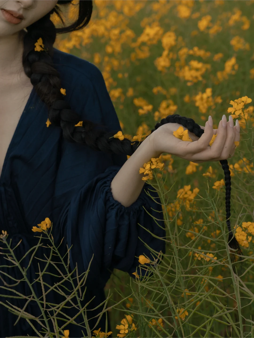 风传花信 雨濯春尘