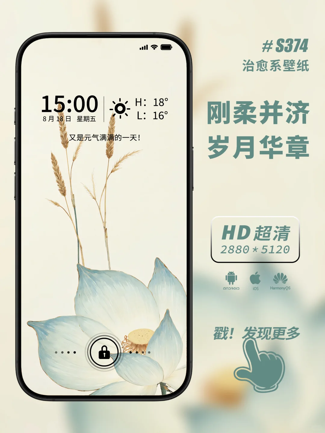 荷韵悠长，岁月华章，治愈系壁纸