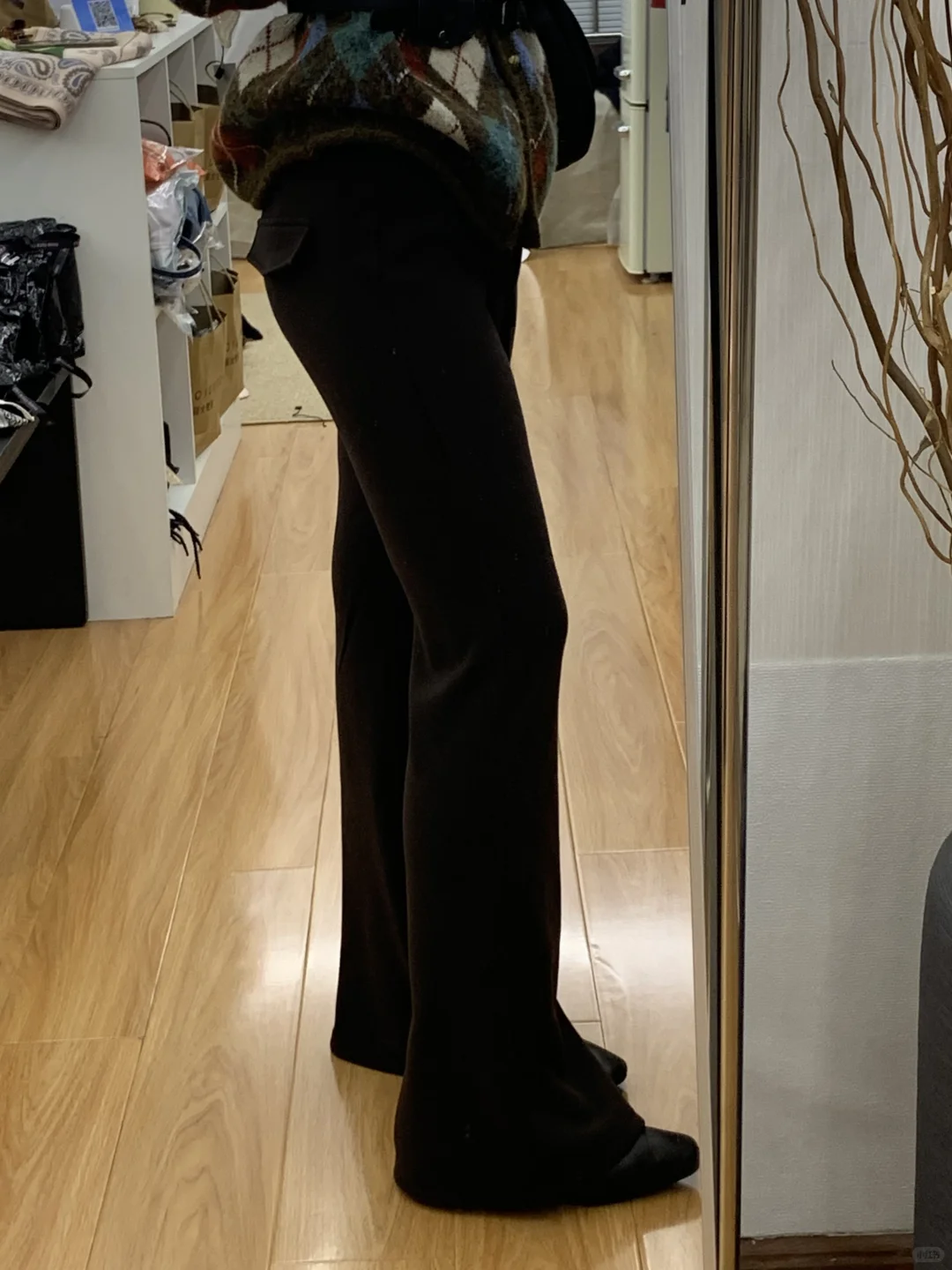 在廊坊本科毕业不上班，每天拍照📸