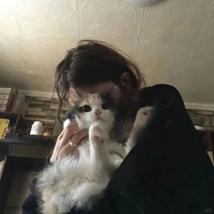 无水印女头(小众)