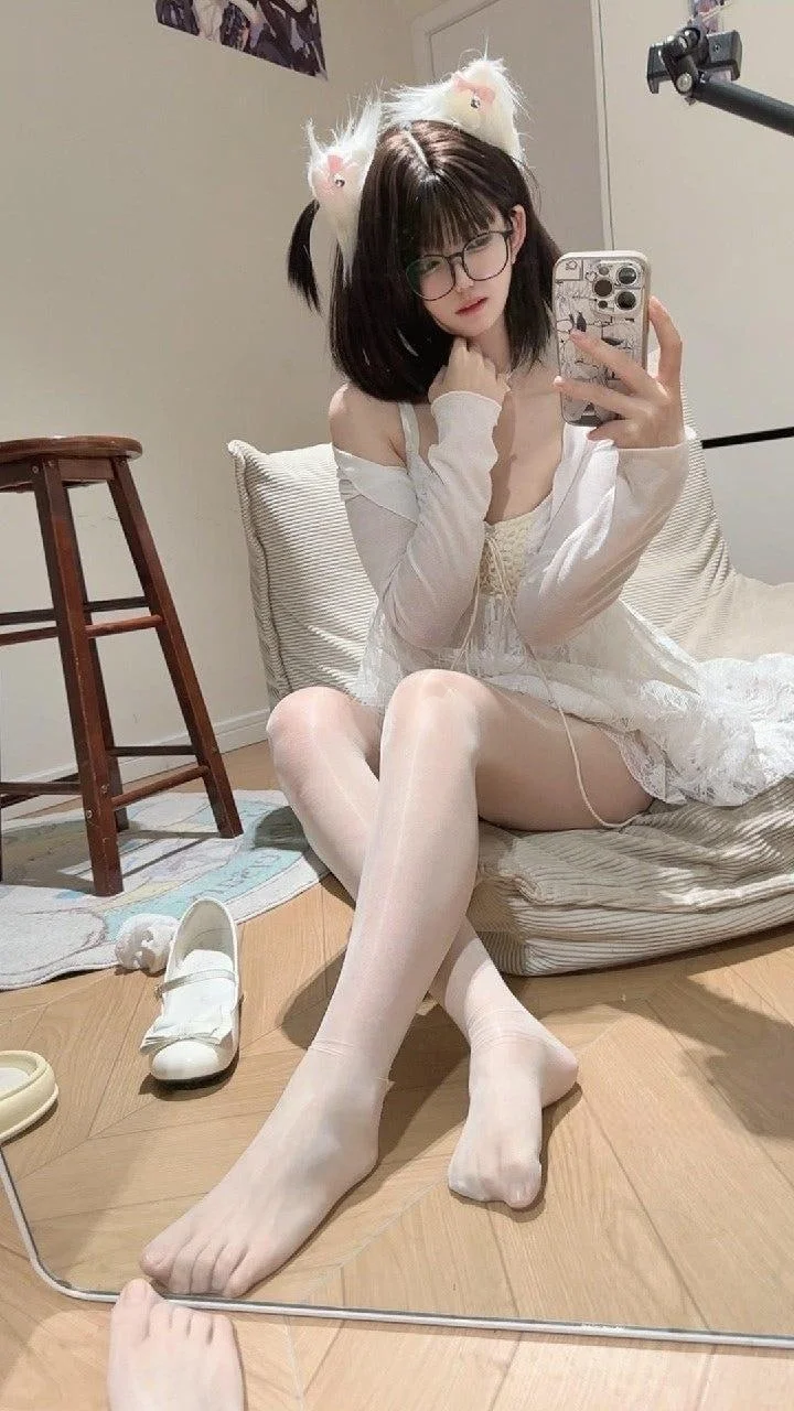 居家猫猫谁主沉浮🐱