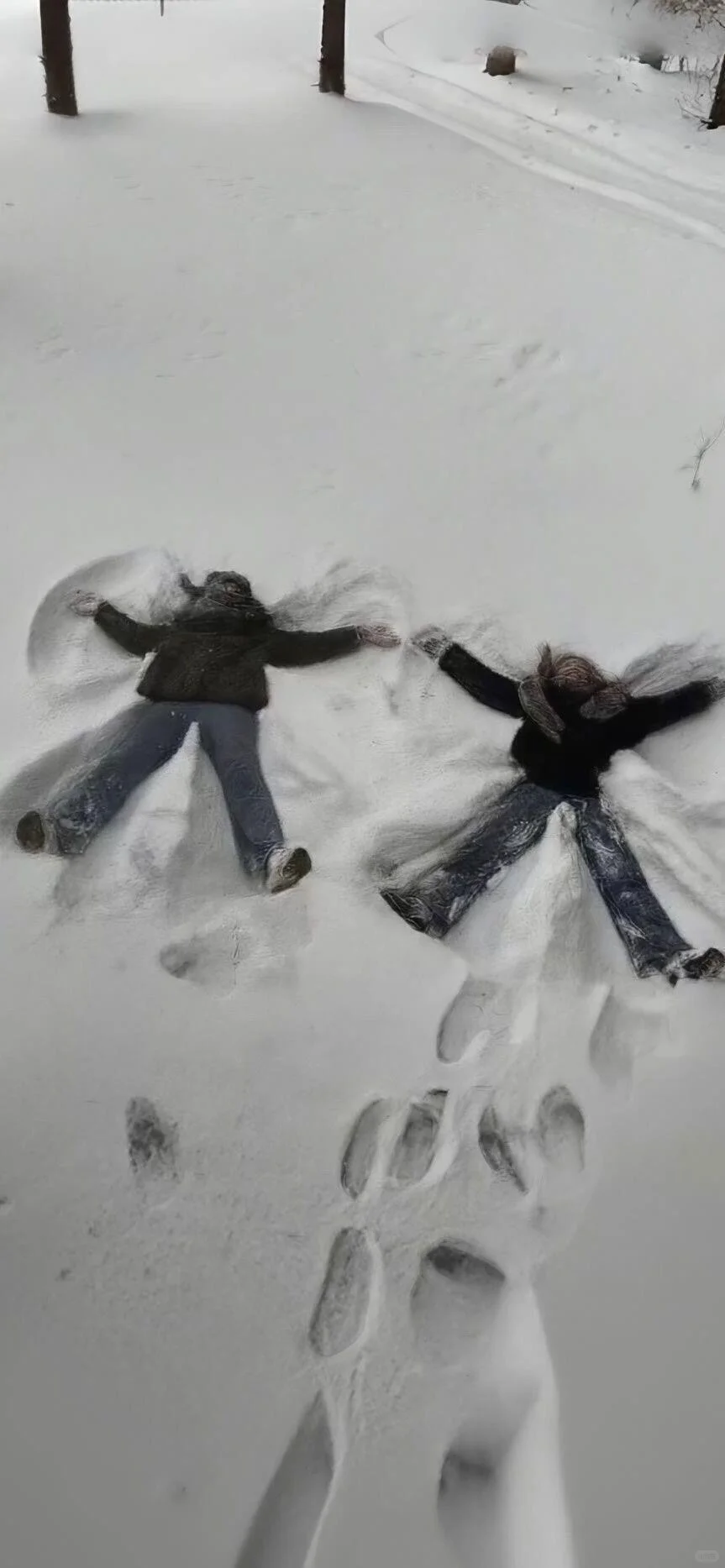 冬日雪景❄️壁纸