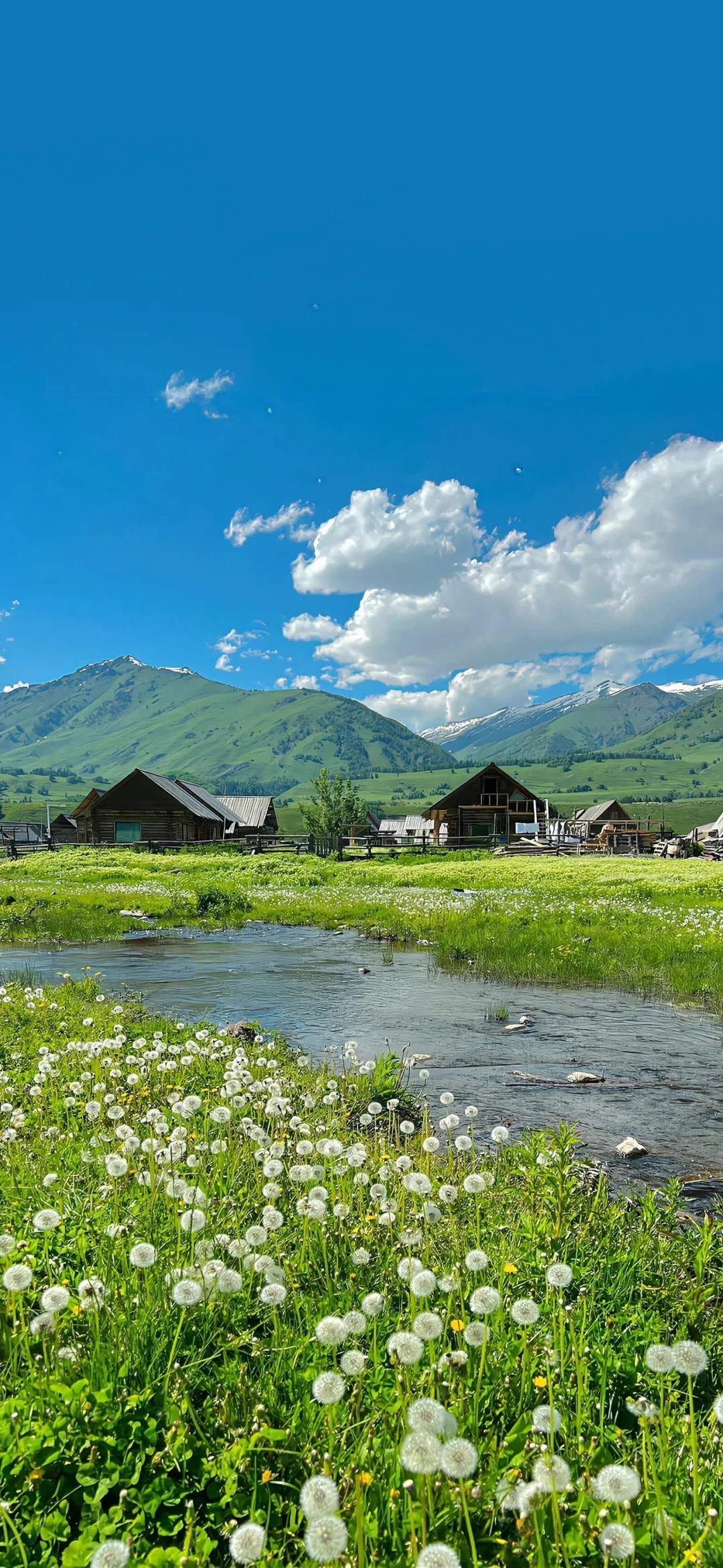 治愈系高清壁纸屏保🌲