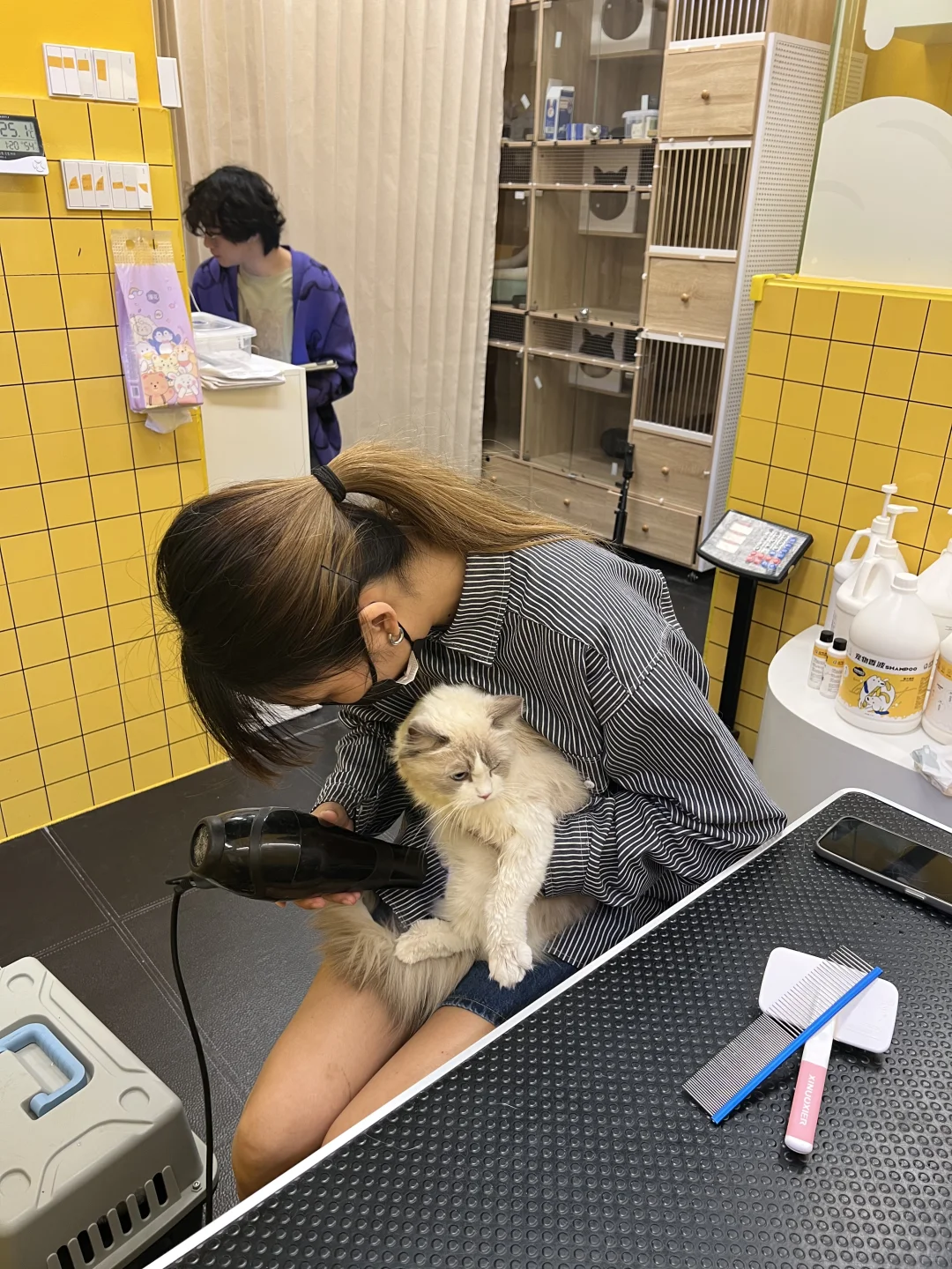 突然发现，女朋友开宠物店的思路好清晰啊！