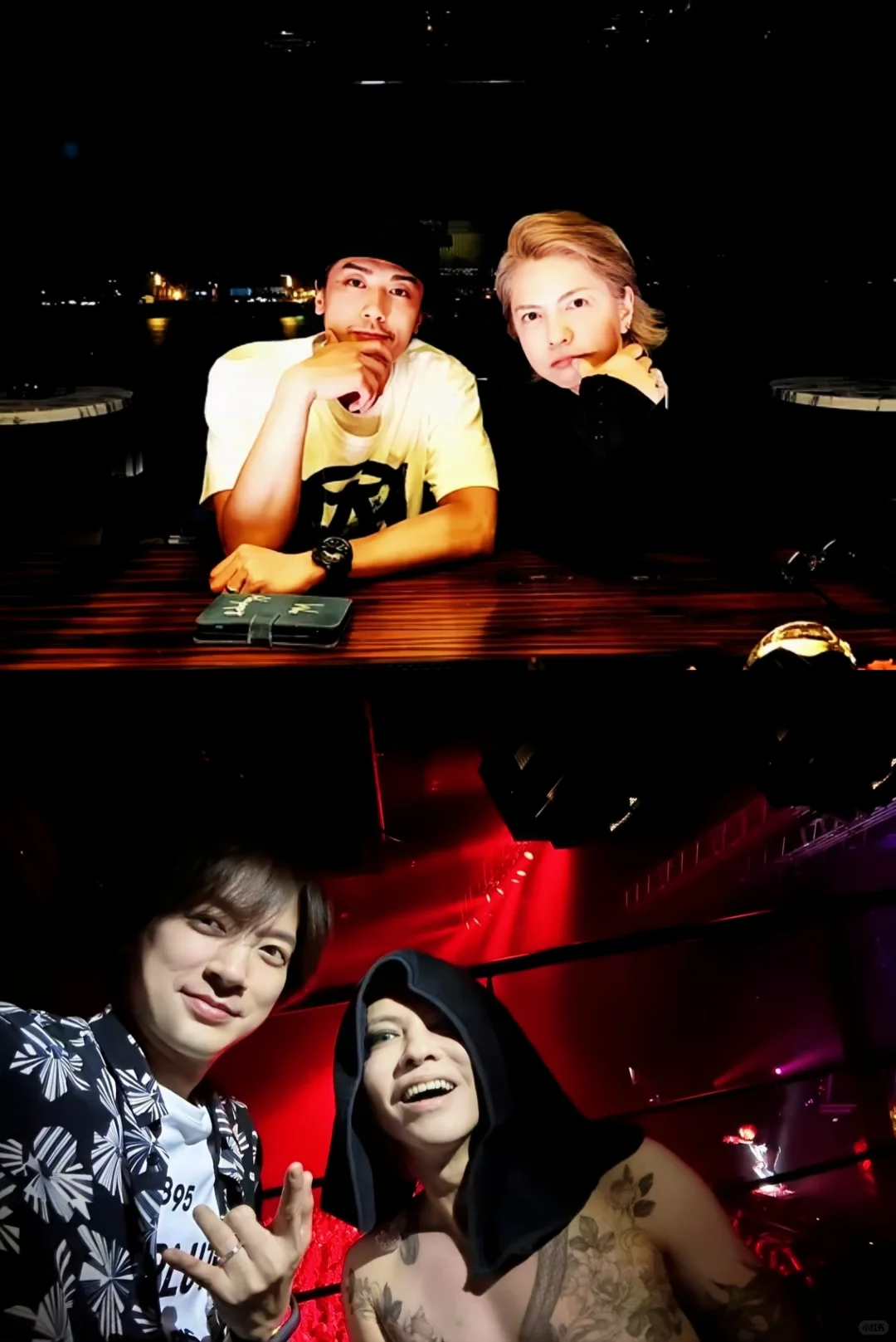 撒娇是小猫最好的嫁妆 ⁺ฅ😽ฅ⁺