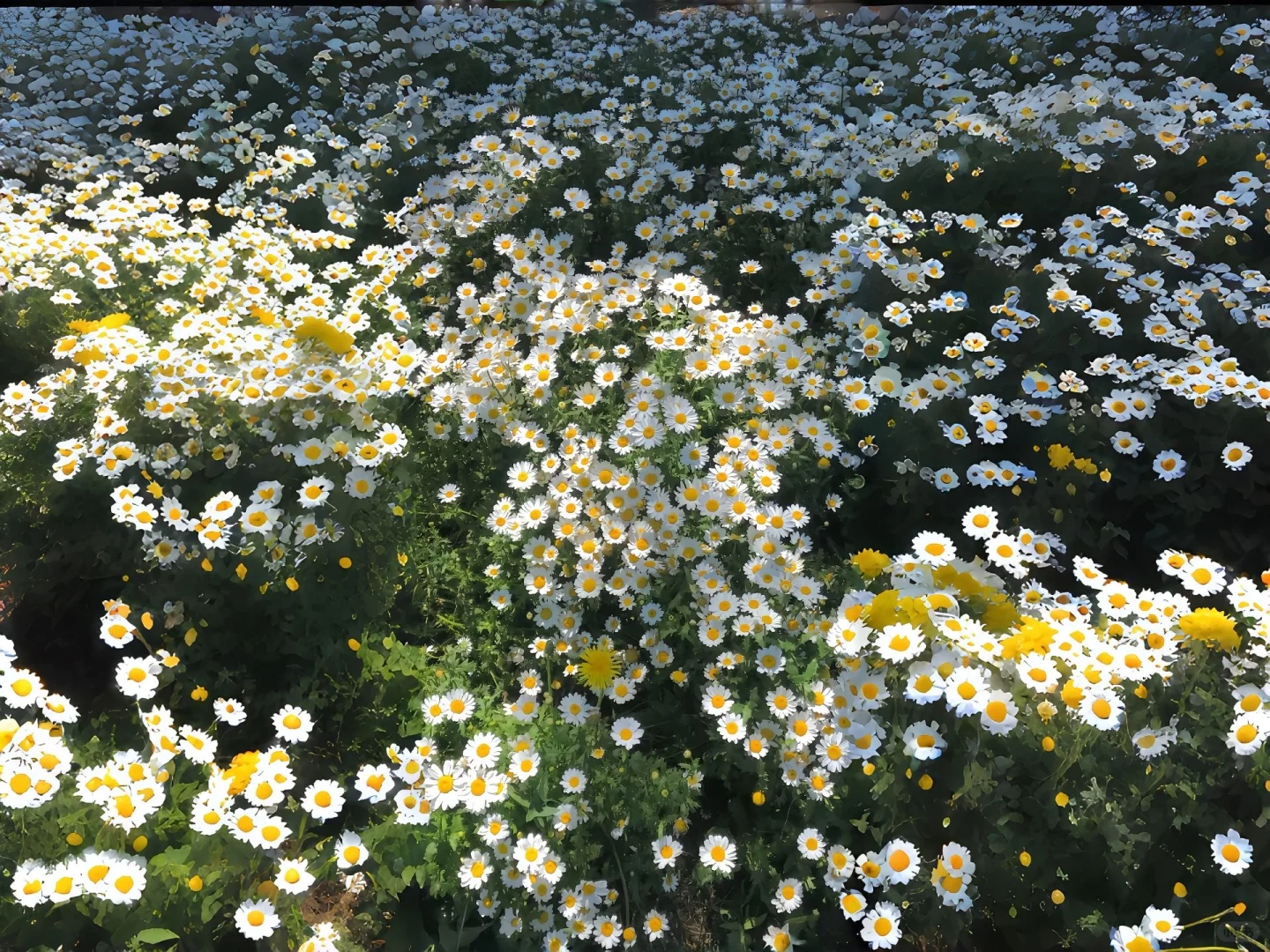 无法拒绝的锁屏壁纸、iPad.高清壁纸、iPad.高清