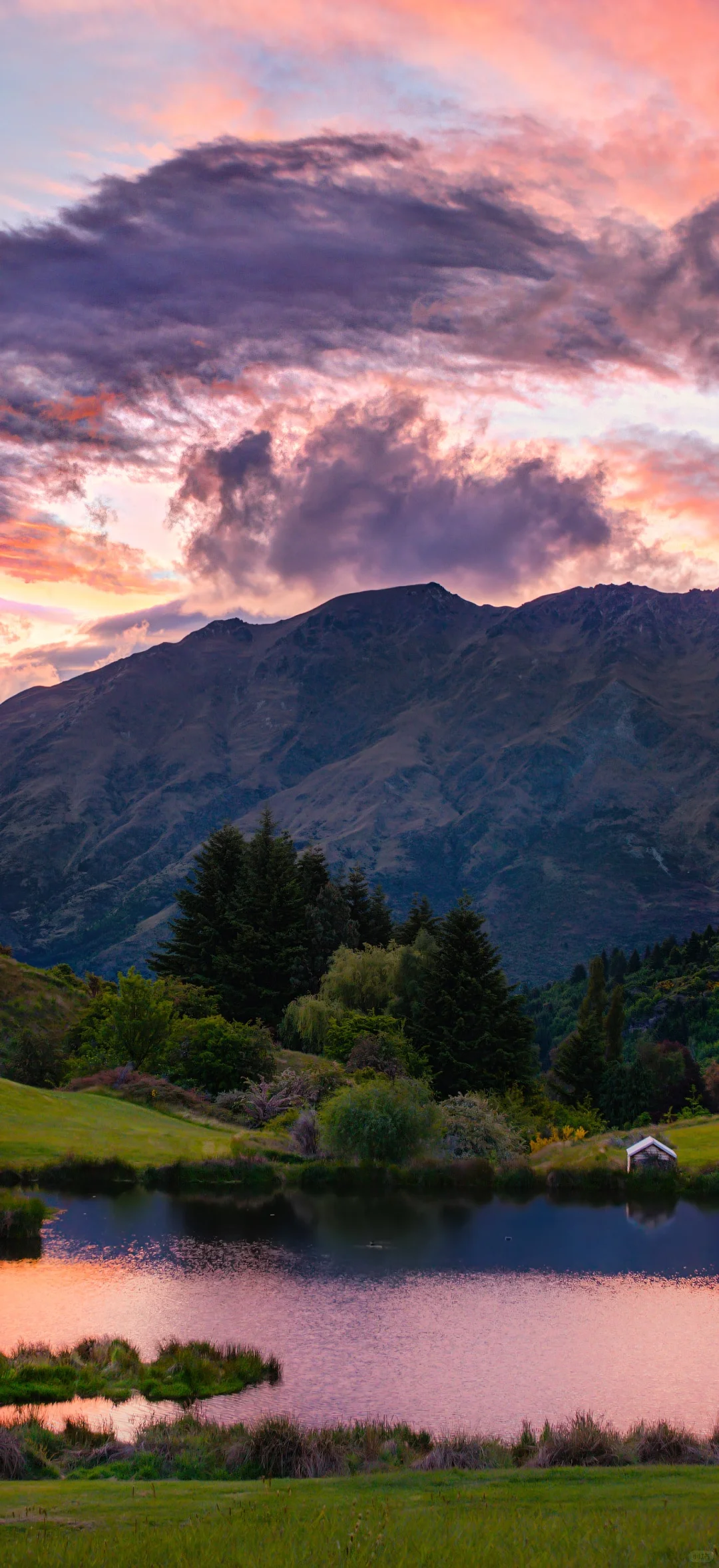 最喜欢的壁纸｜每一张都好看