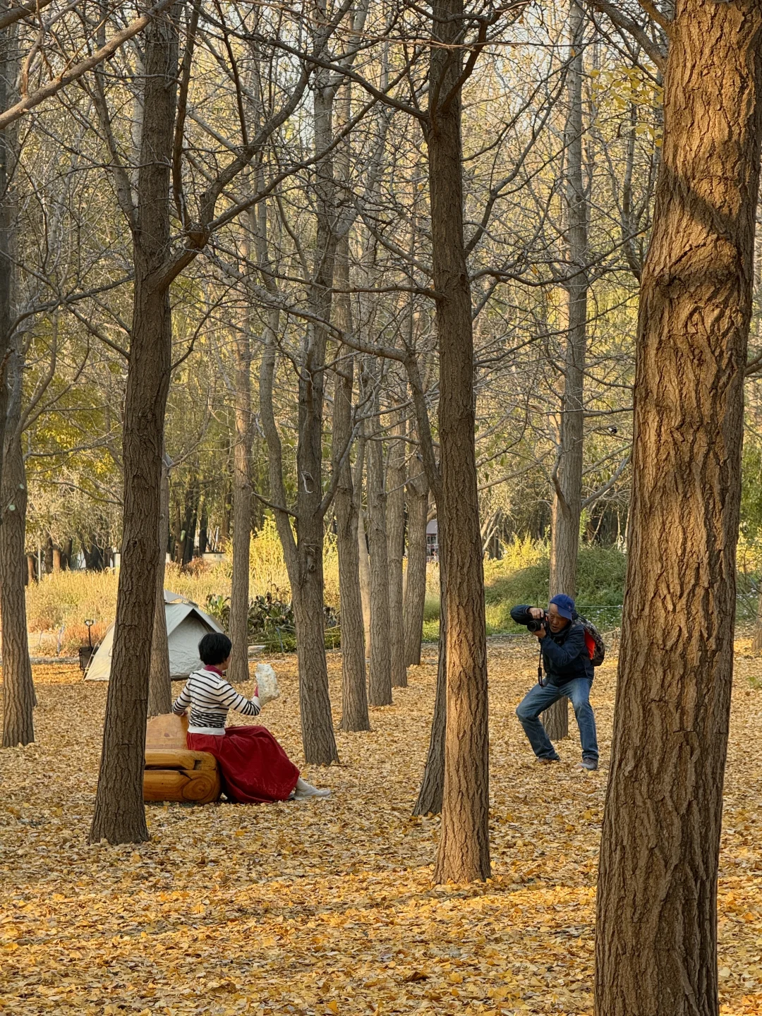 有村架纯发型 你美！