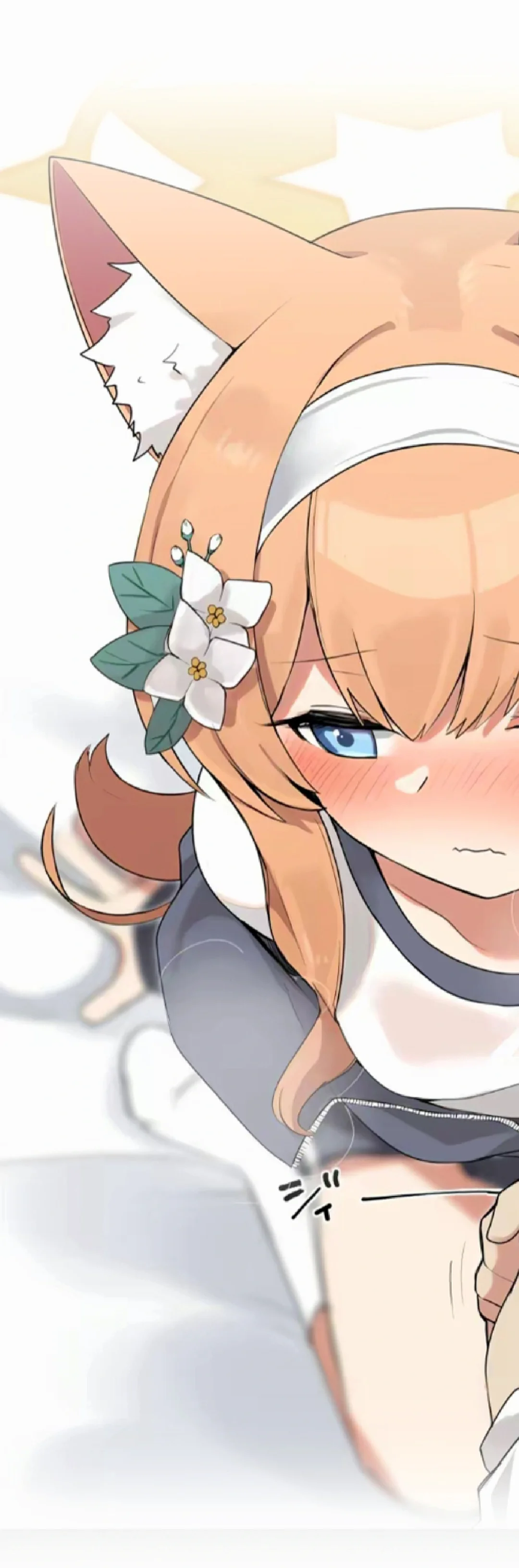 萌物，萌物，又萌又可爱～