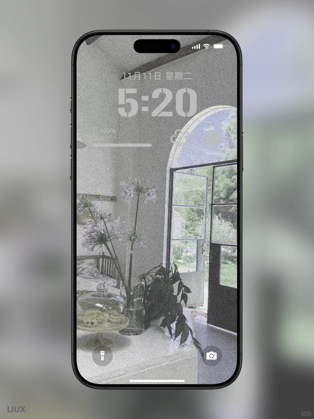 《氛围感拉满的白百合手机壁纸｜把清新与温柔