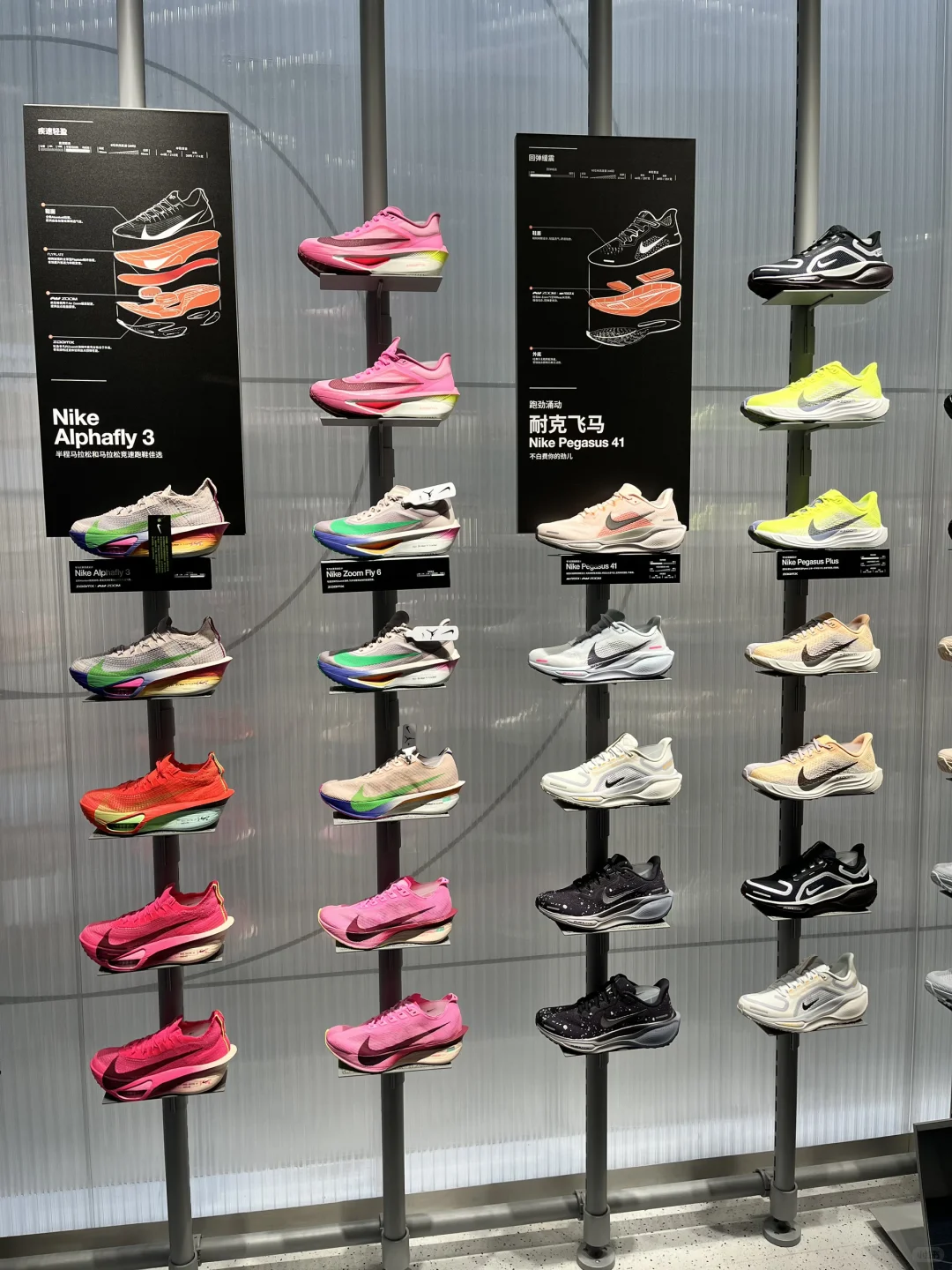 最近女士新款有点多哦🥰