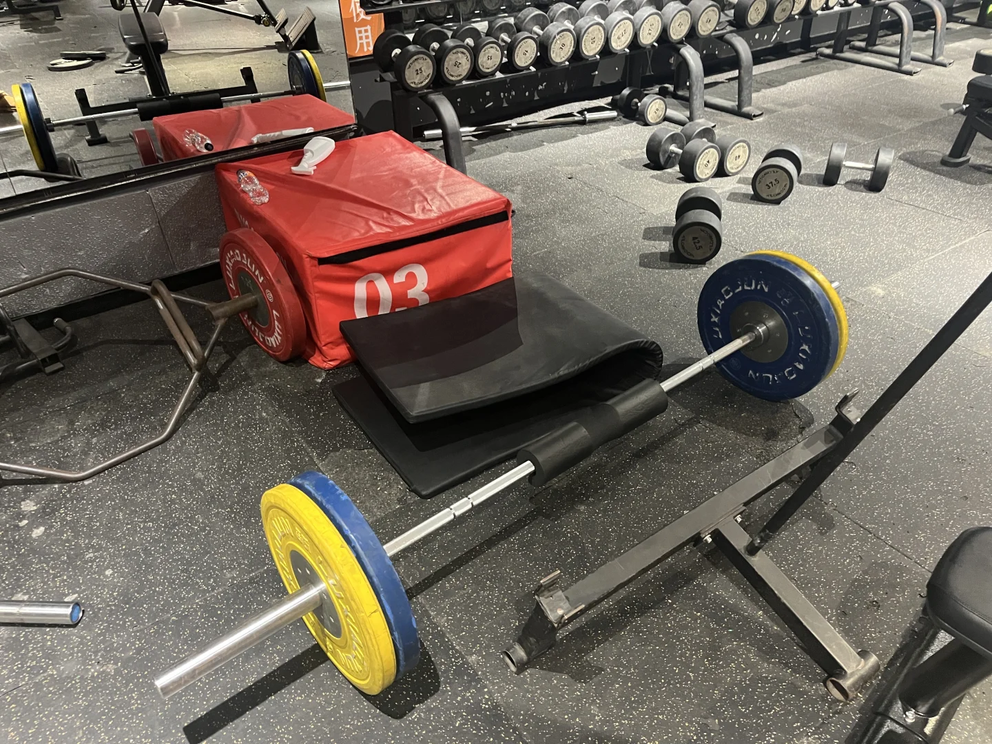 练臀腿的个人经验（仅适合女生）