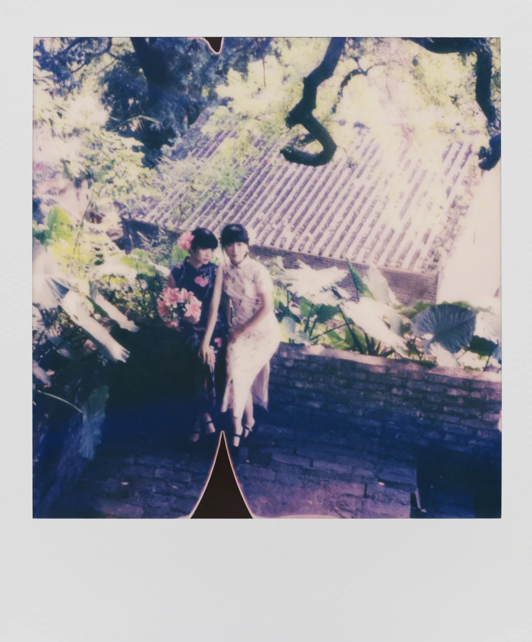 宝丽来｜女人如花花似梦