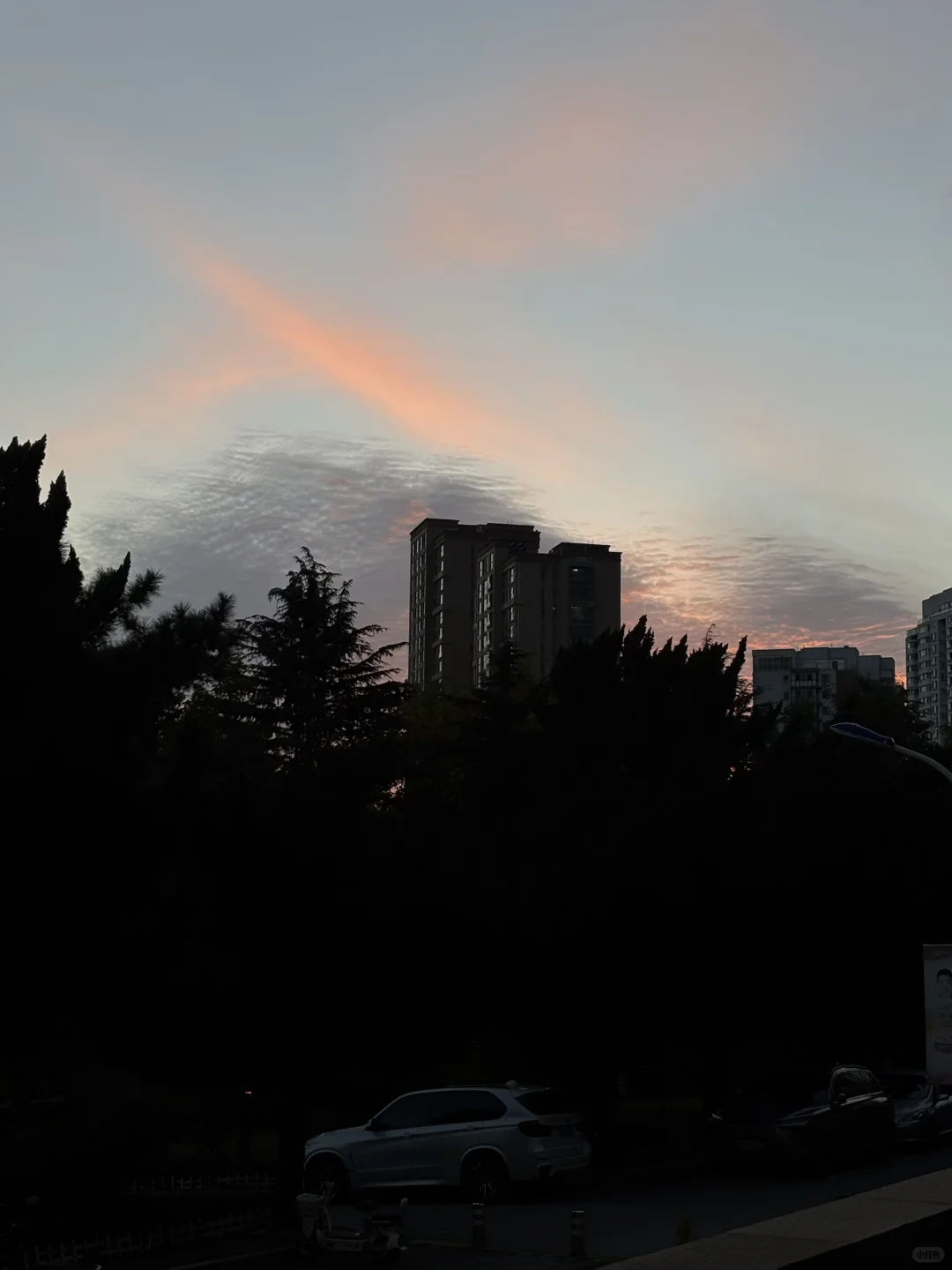 大四 无课 已保研女大学生的充实日常