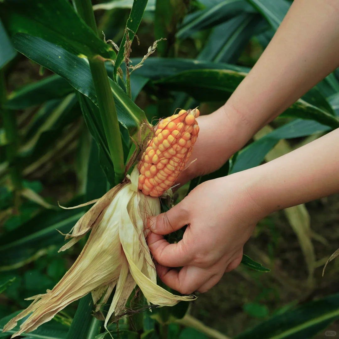 镜头记录着姐姐的自然与美📷