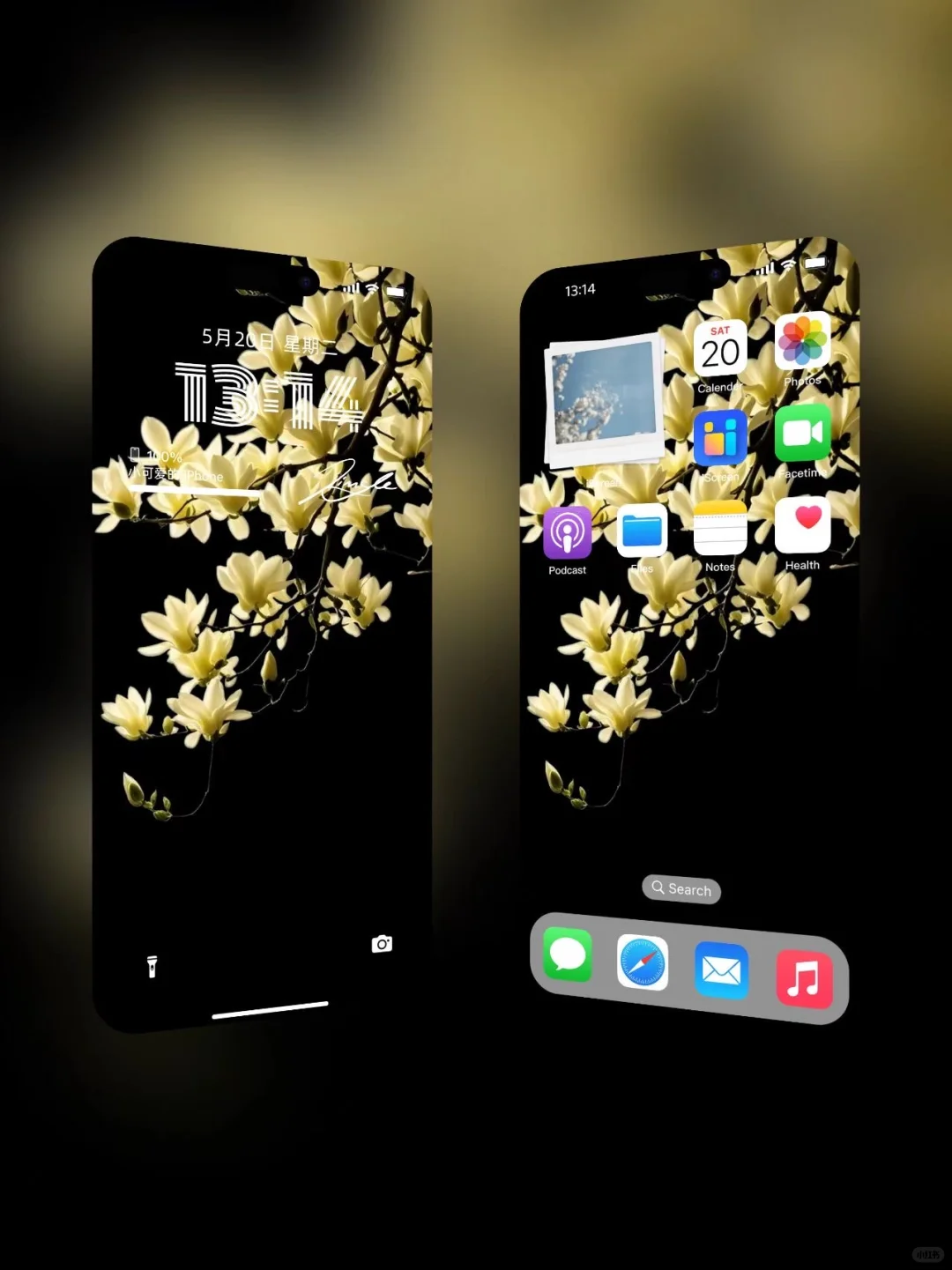 简约高级感｜玉兰花壁纸、氛围感壁纸