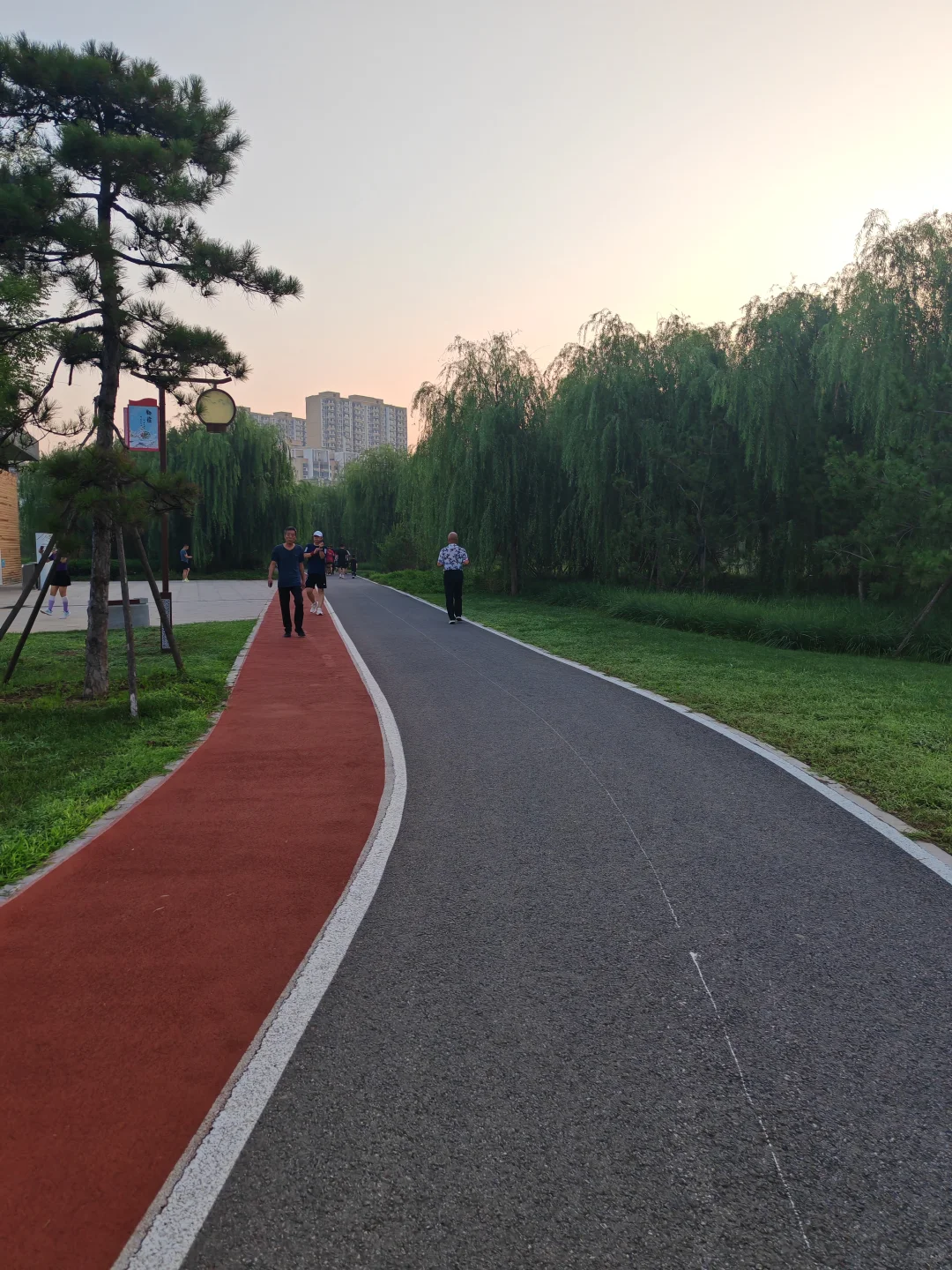 跑步打卡第81天，120+中年妇女减肥好难啊