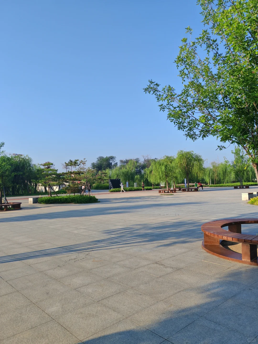 跑步打卡第81天，120+中年妇女减肥好难啊