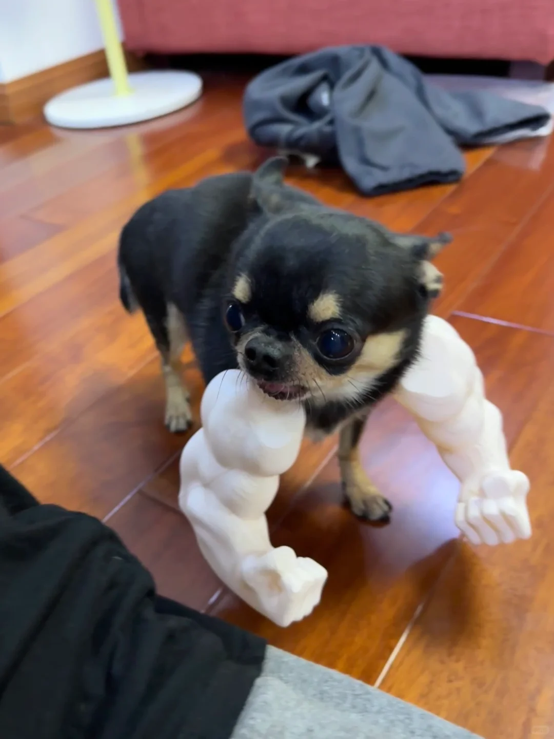 听说女人都喜欢肌肉💪🏻