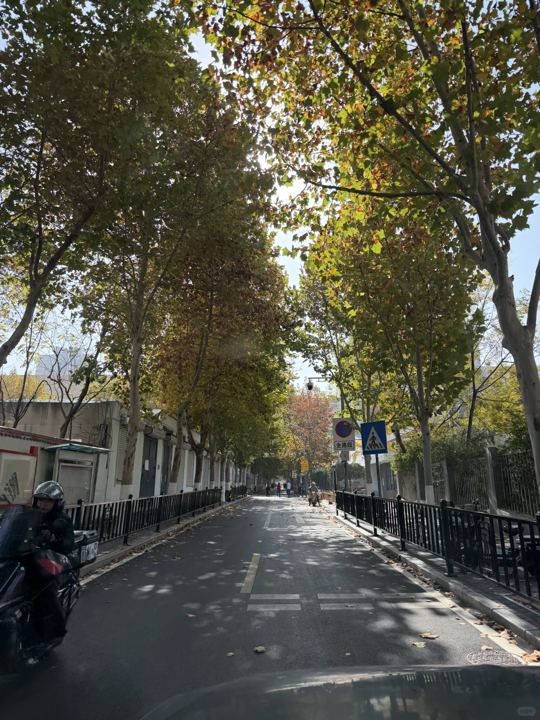 分享一个最喜欢的动作