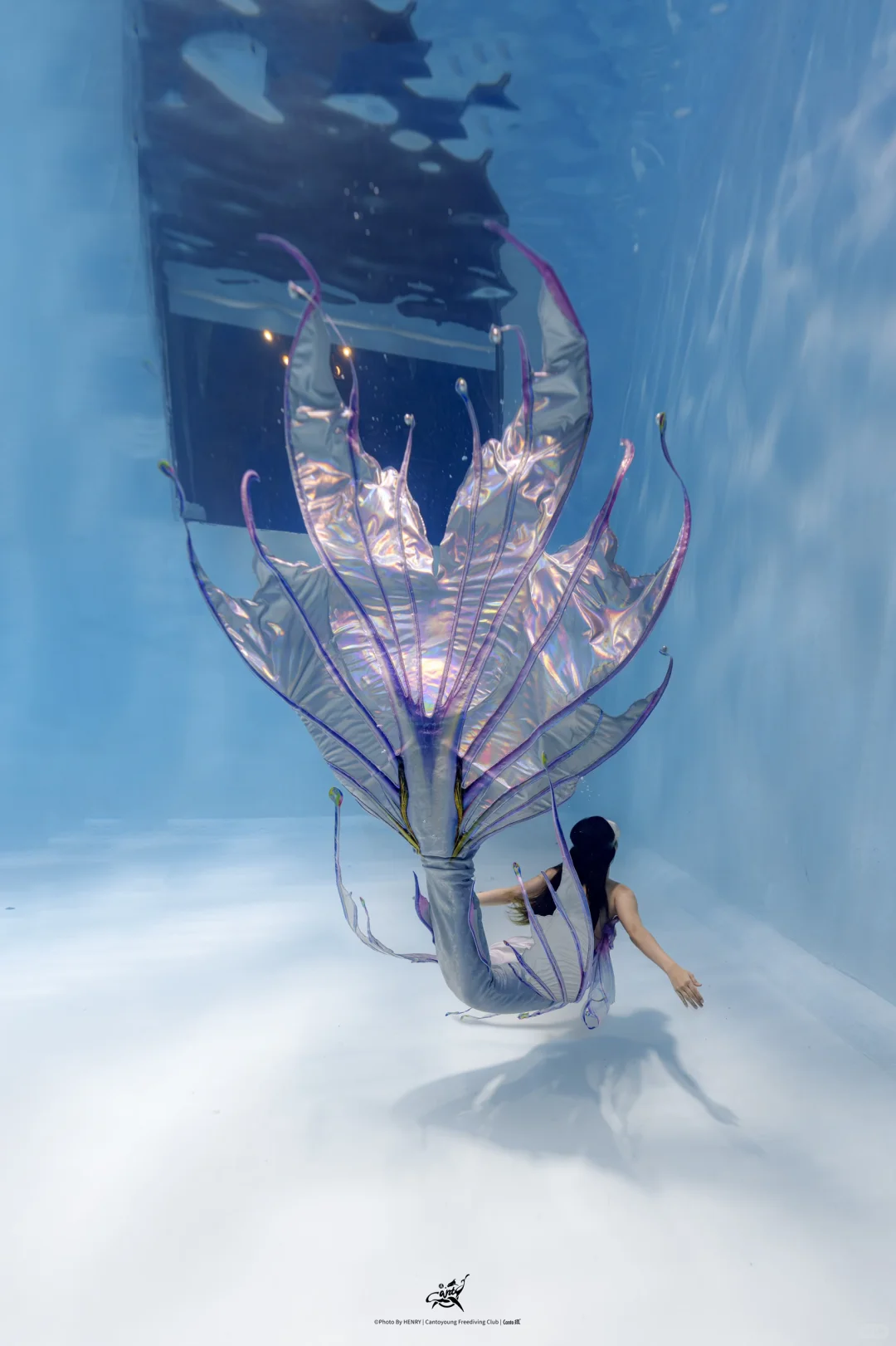 美人鱼的梦中情尾～～冲呀