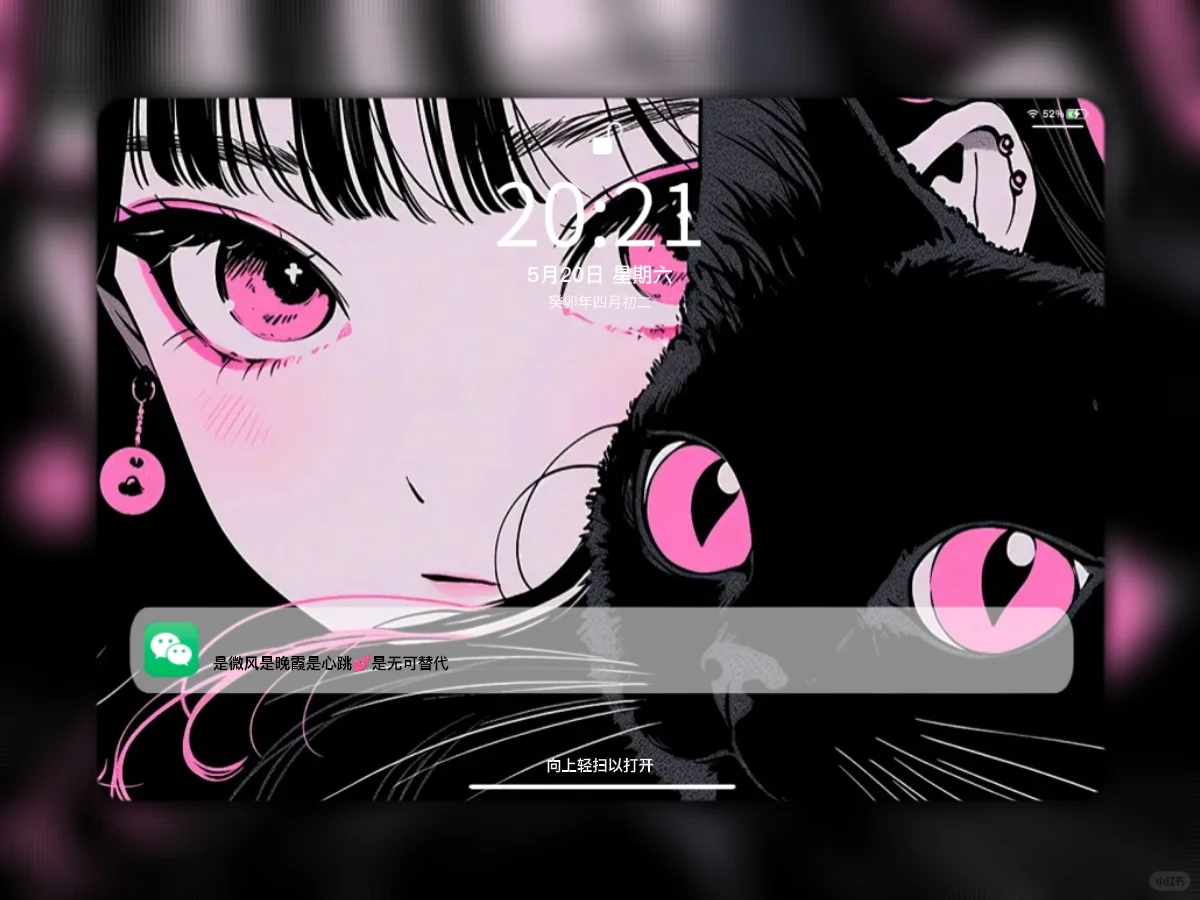 Share | 𝒊𝒑𝒂𝒅壁纸 黑猫