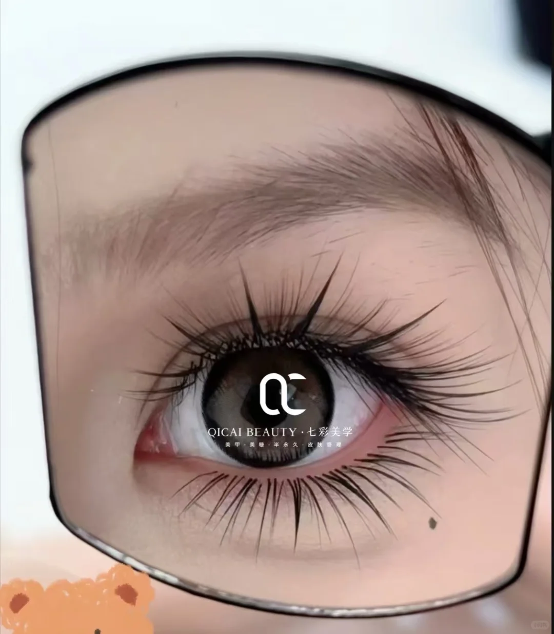 免费的睫毛真的爱了！😍