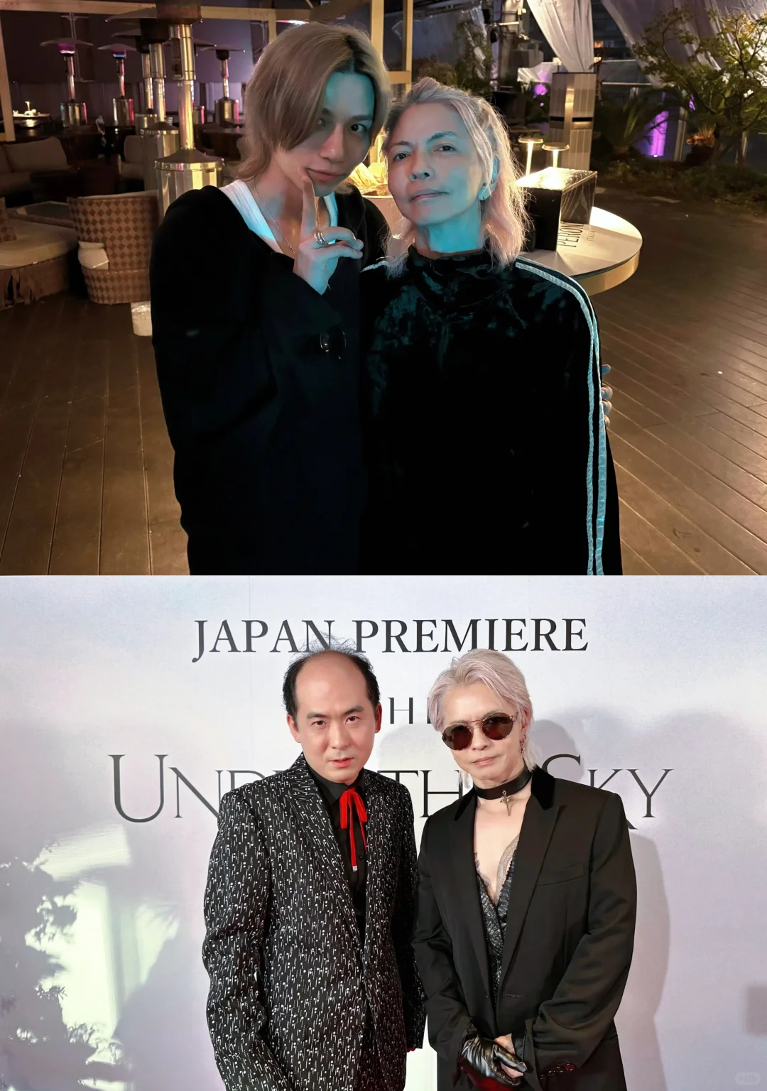 撒娇是小猫最好的嫁妆 ⁺ฅ😽ฅ⁺