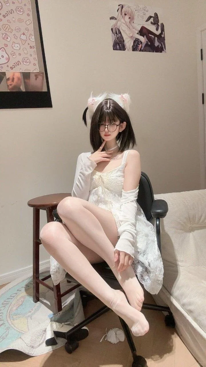 居家猫猫谁主沉浮🐱