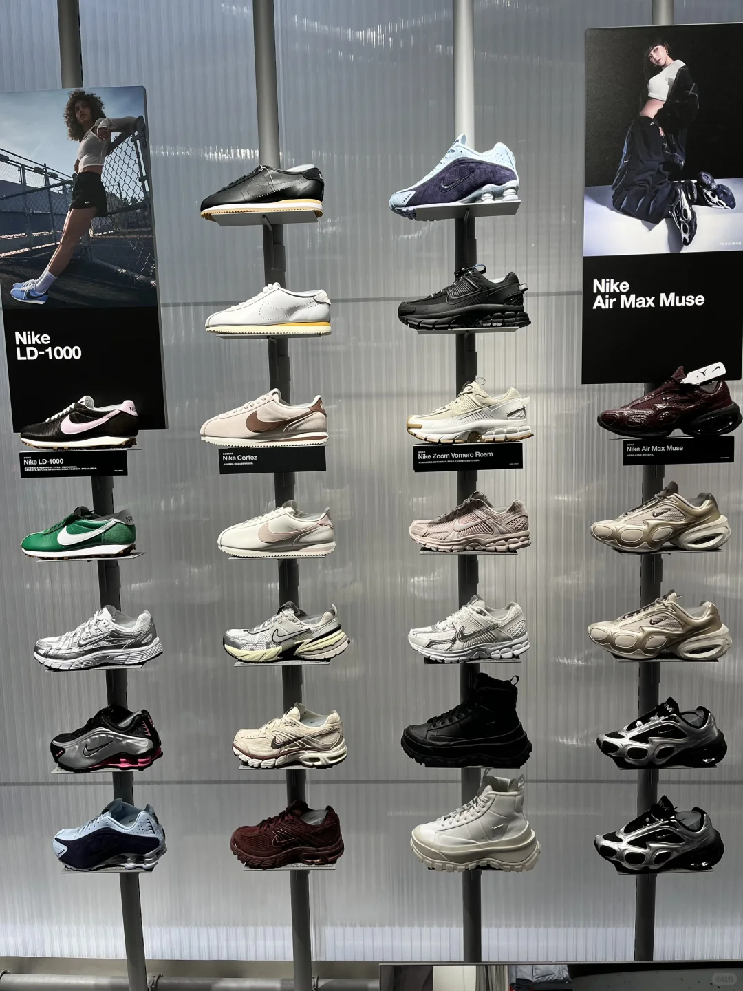 最近女士新款有点多哦🥰