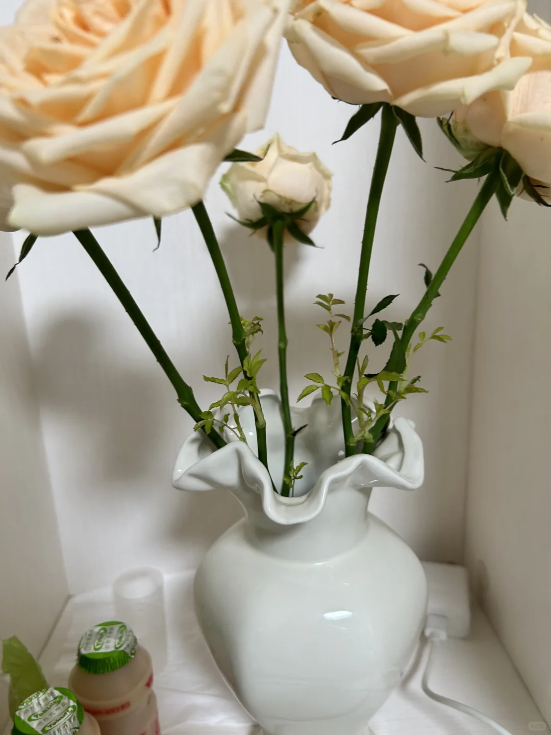 啊啊啊啊啊啊怎么可以这么美！