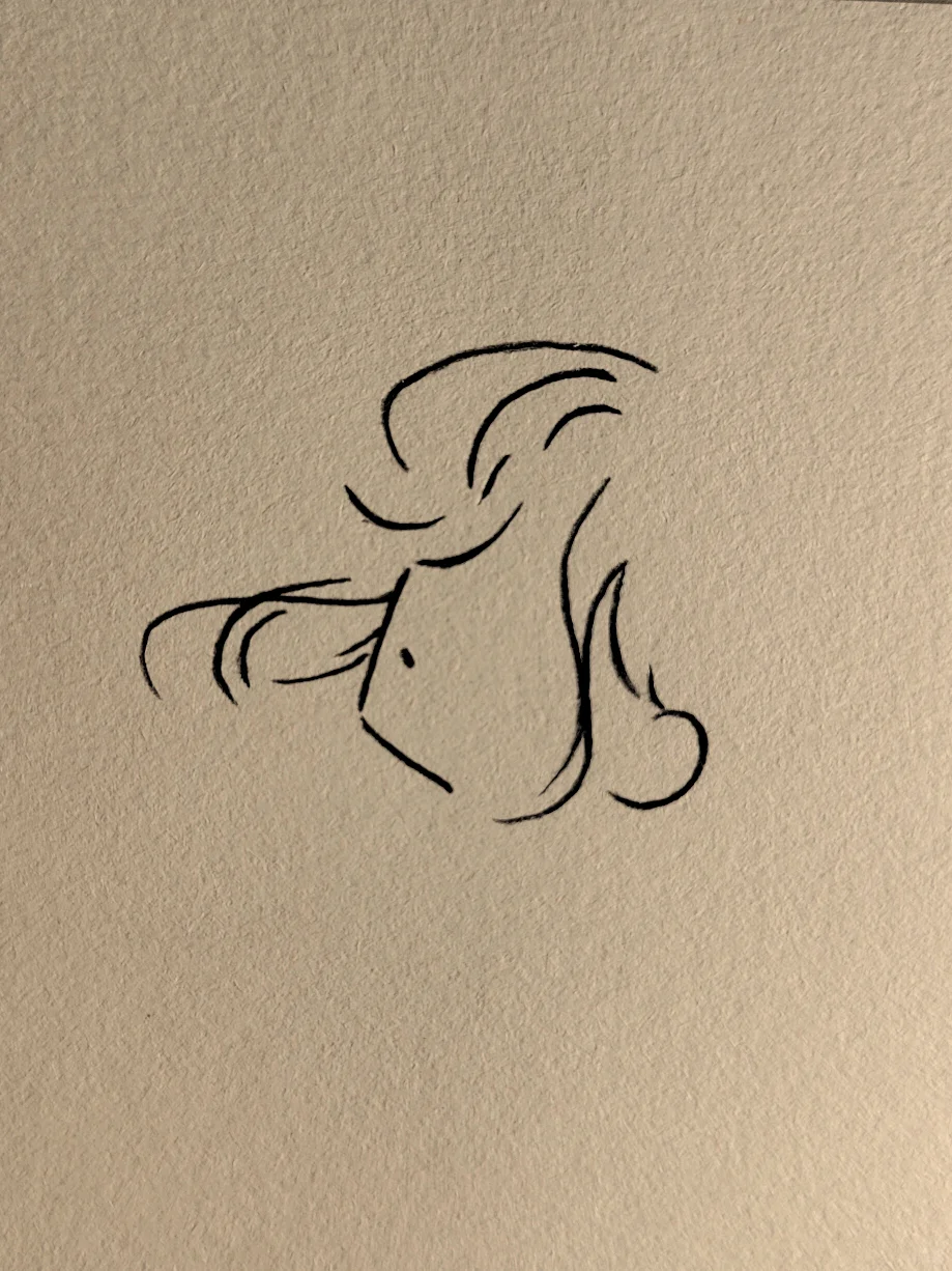 简笔画：今天这个线条太喜欢了～🫰🏻