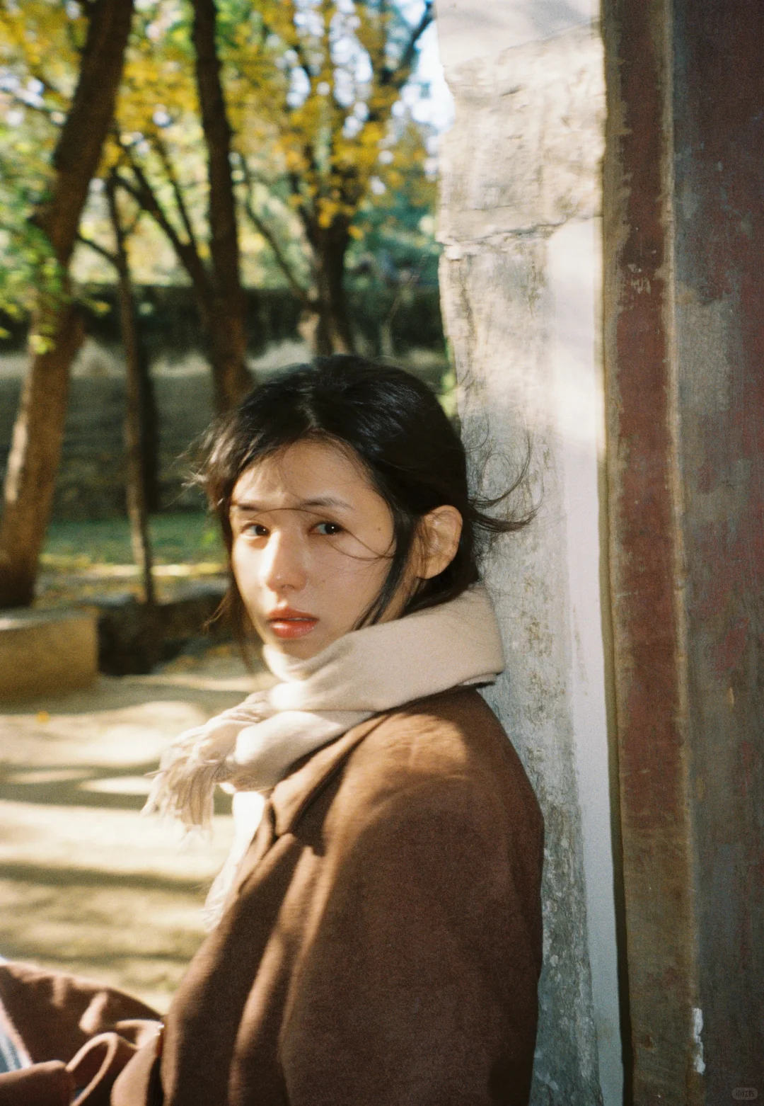 鹤男秋日氛围感写真