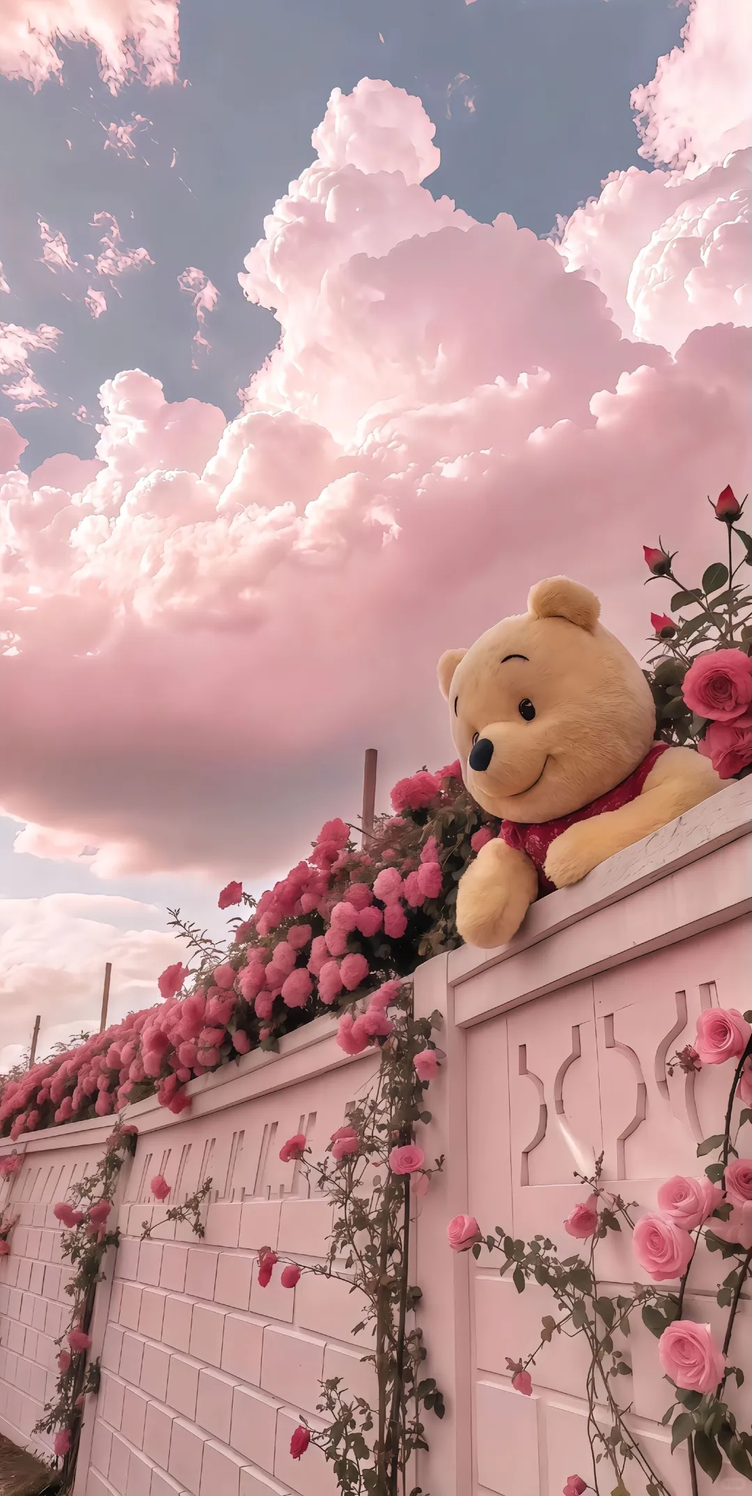 这里真的有治愈系壁纸！🤩