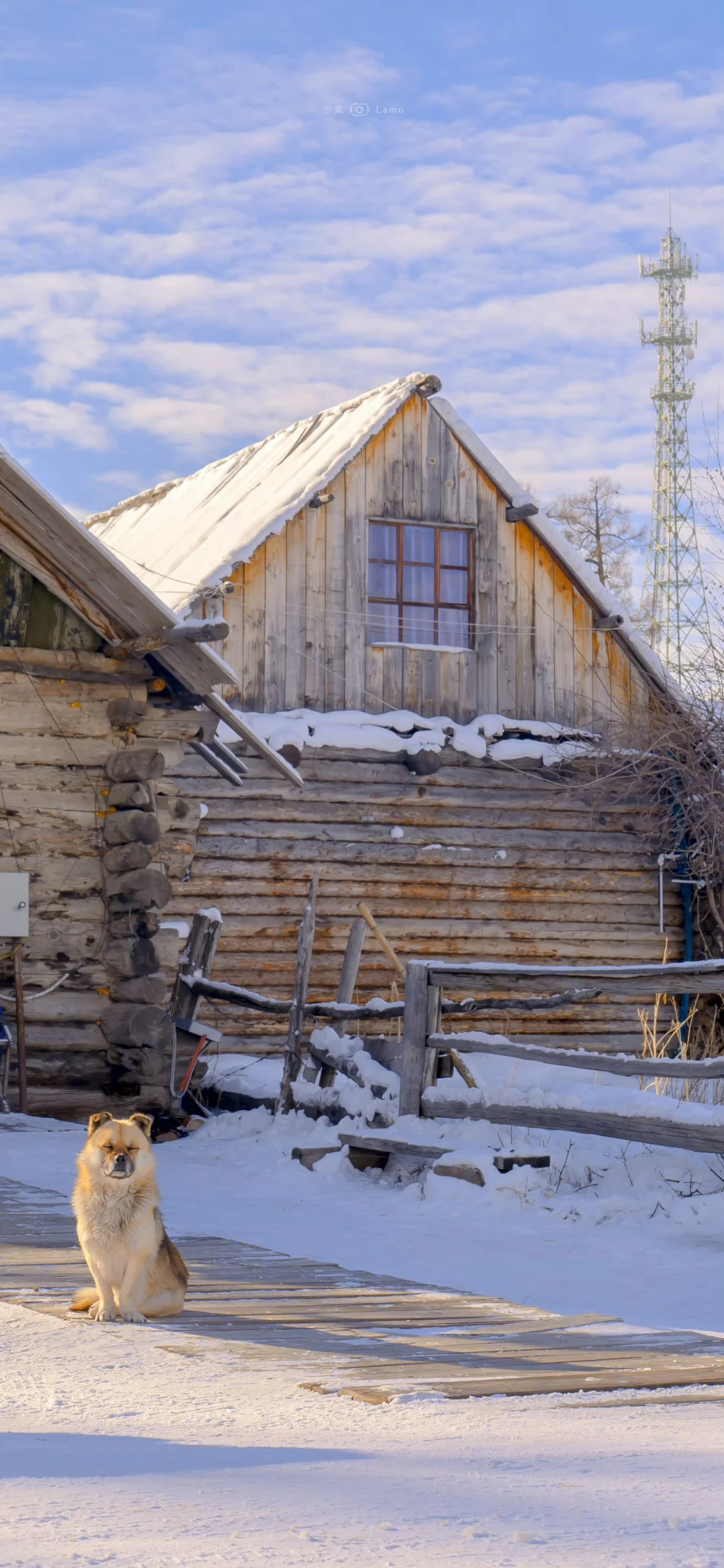高清雪天氛围感壁纸