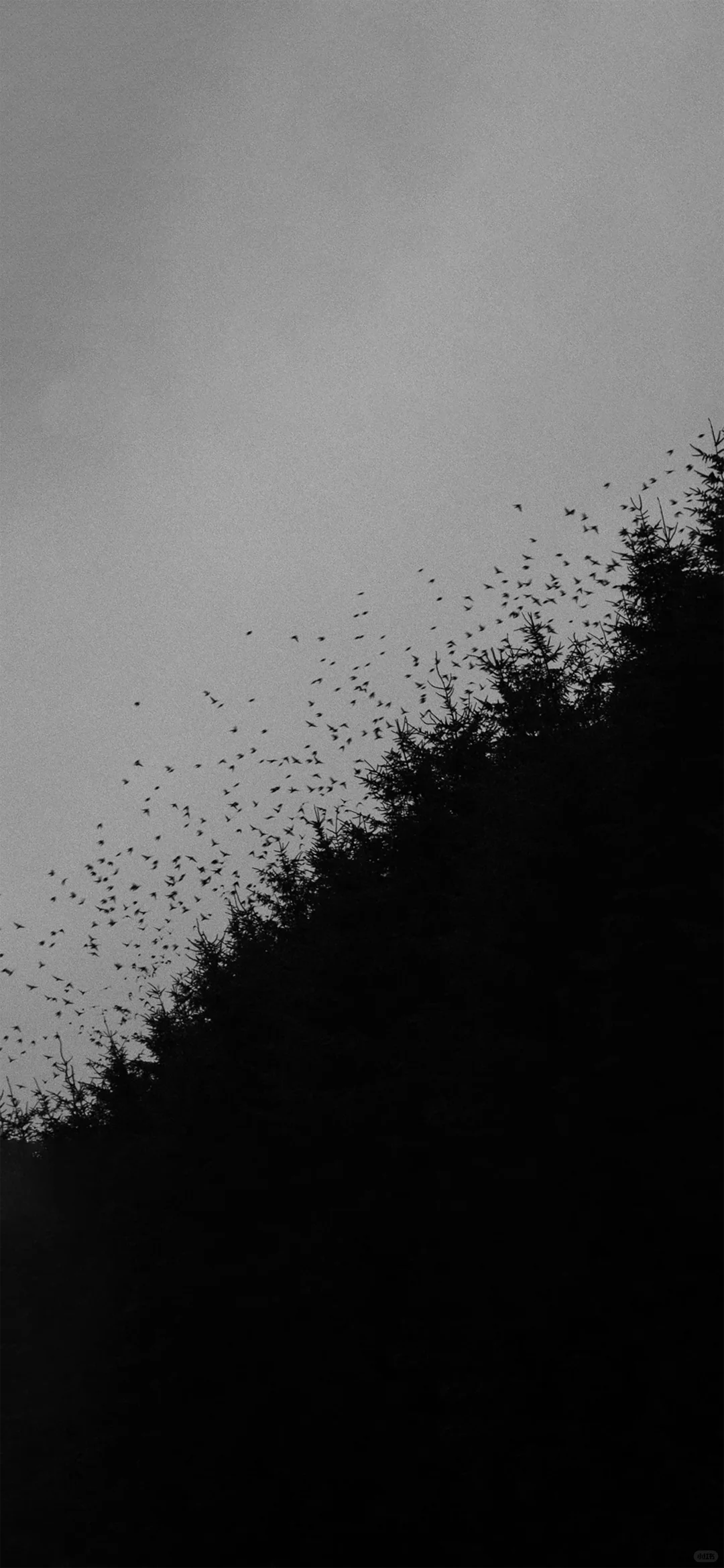 被你发现了宝藏壁纸